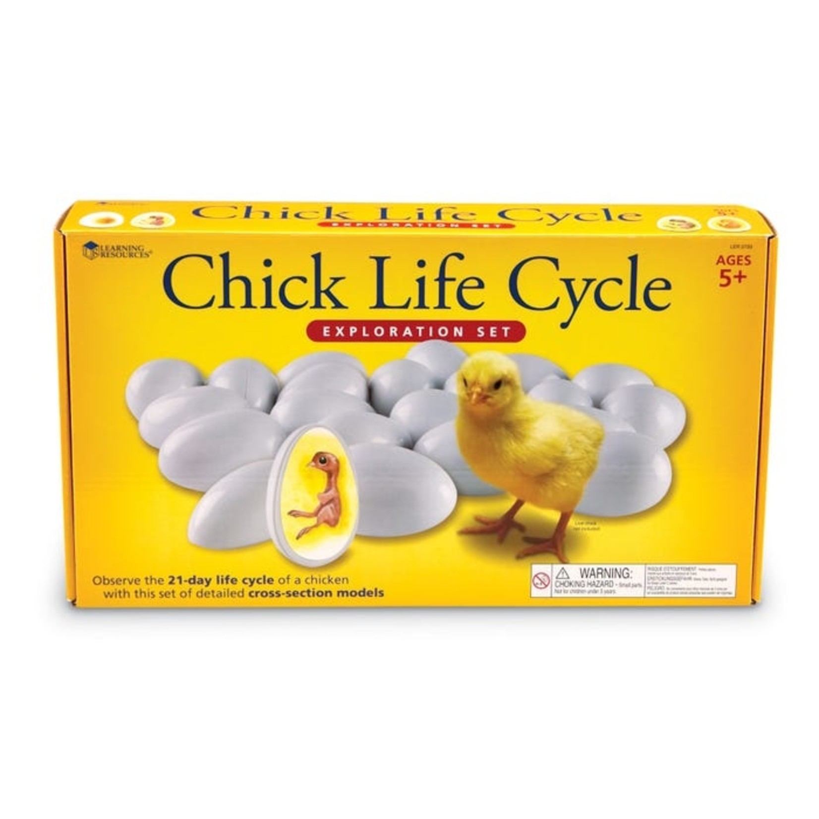 LEARNING RESOURCES INC Chick Life Cycle Exploration Set