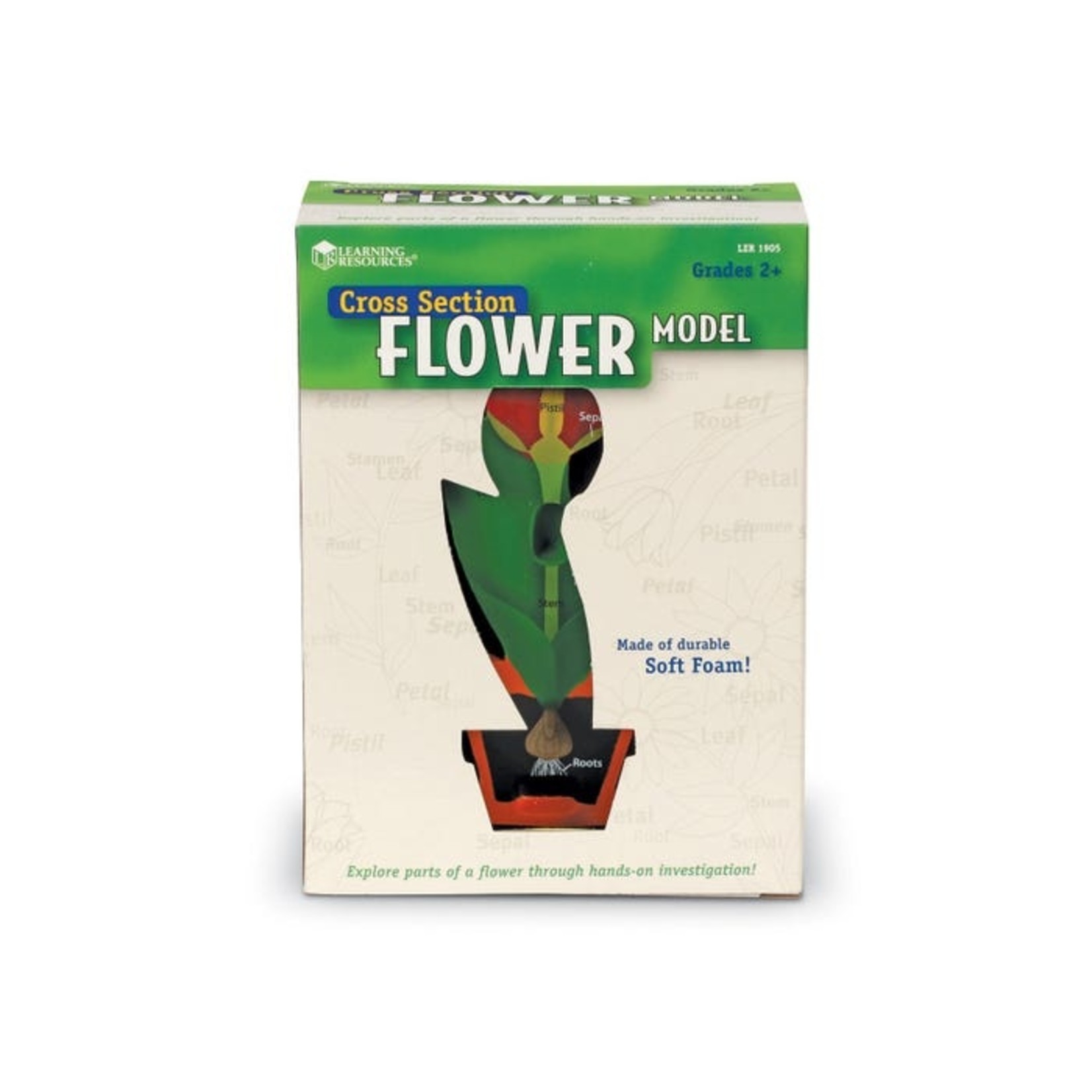 LEARNING RESOURCES INC Soft Foam Cross-Section Flower Model