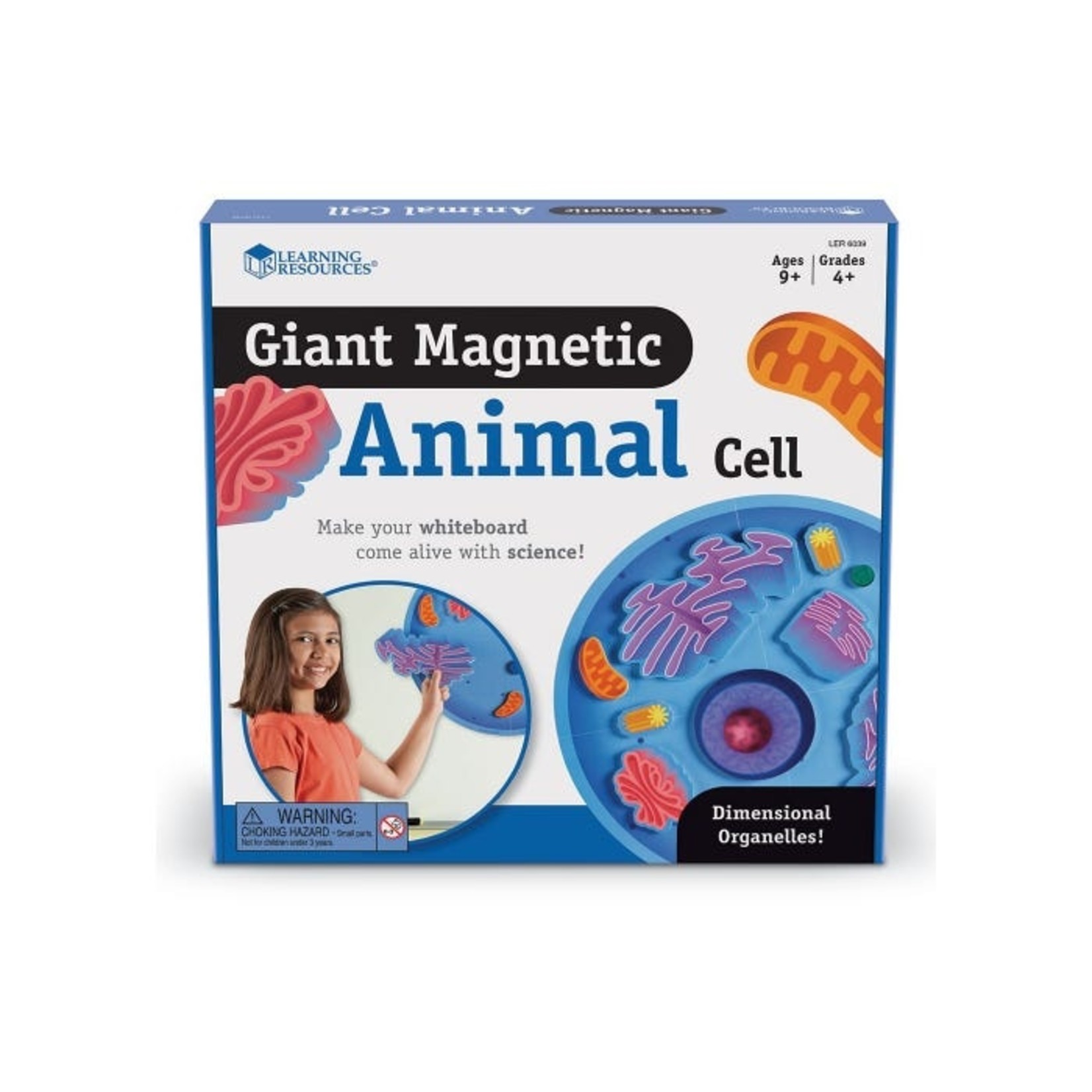 LEARNING RESOURCES INC Giant Magnetic Animal Cell