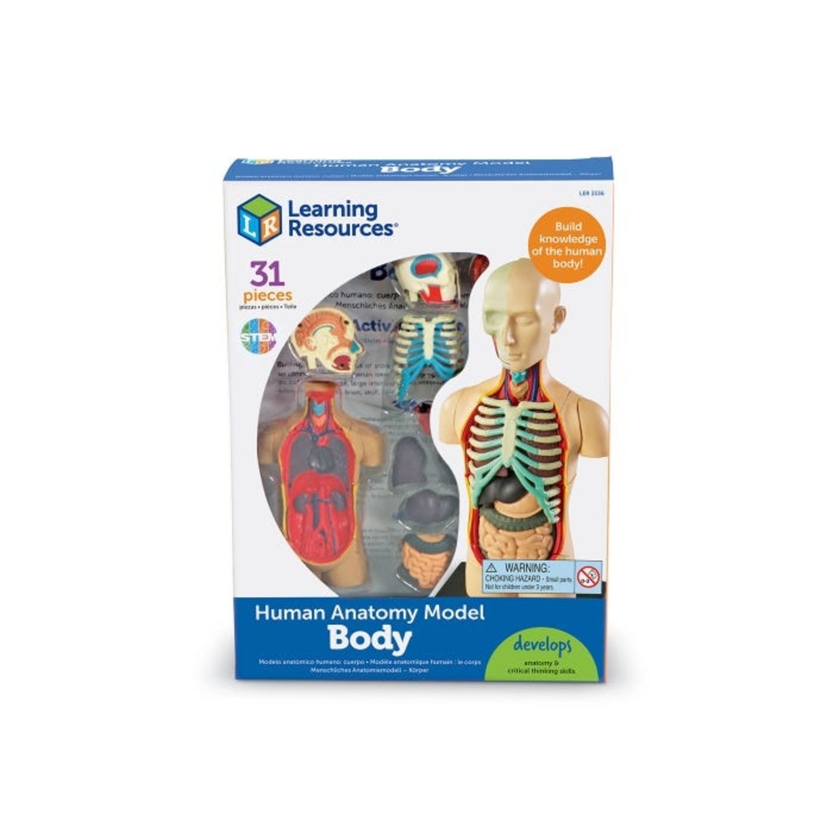 LEARNING RESOURCES INC Anatomy Model - Human Body