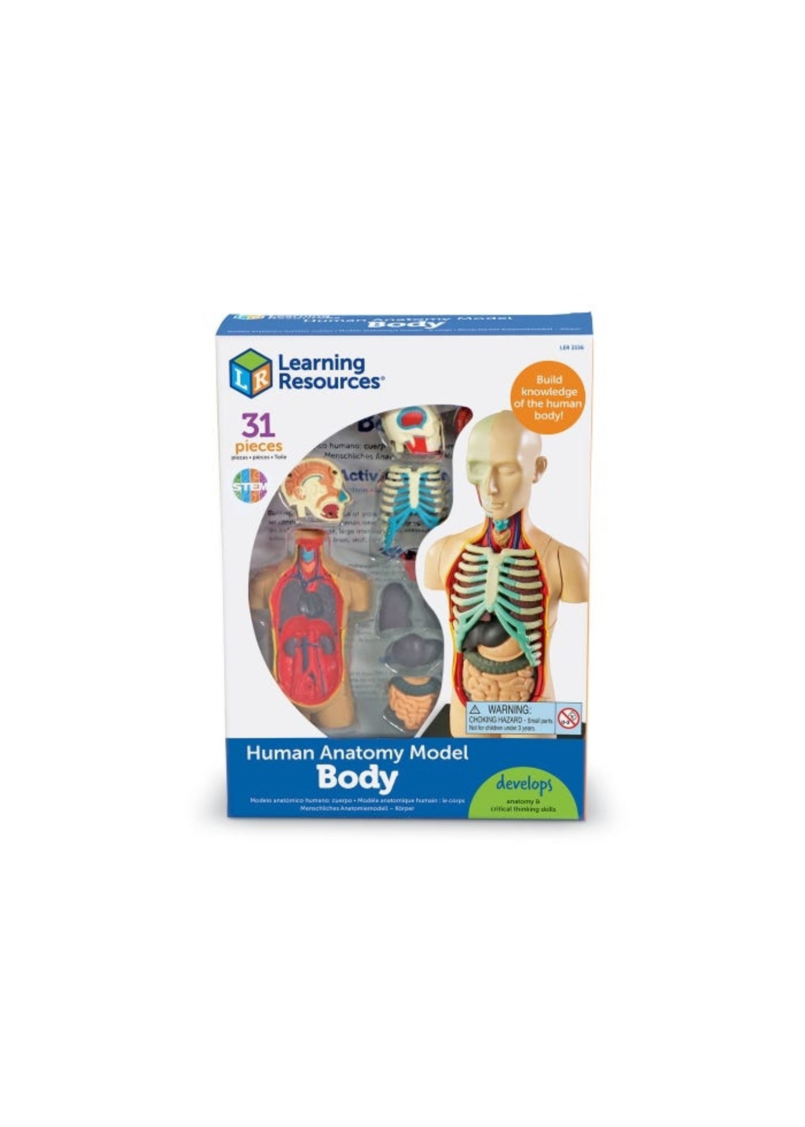HUMAN BODY MODEL Educational Outfitters