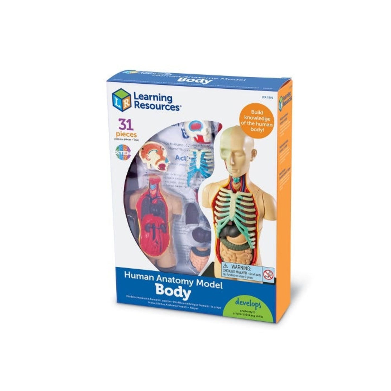 LEARNING RESOURCES INC Anatomy Model - Human Body