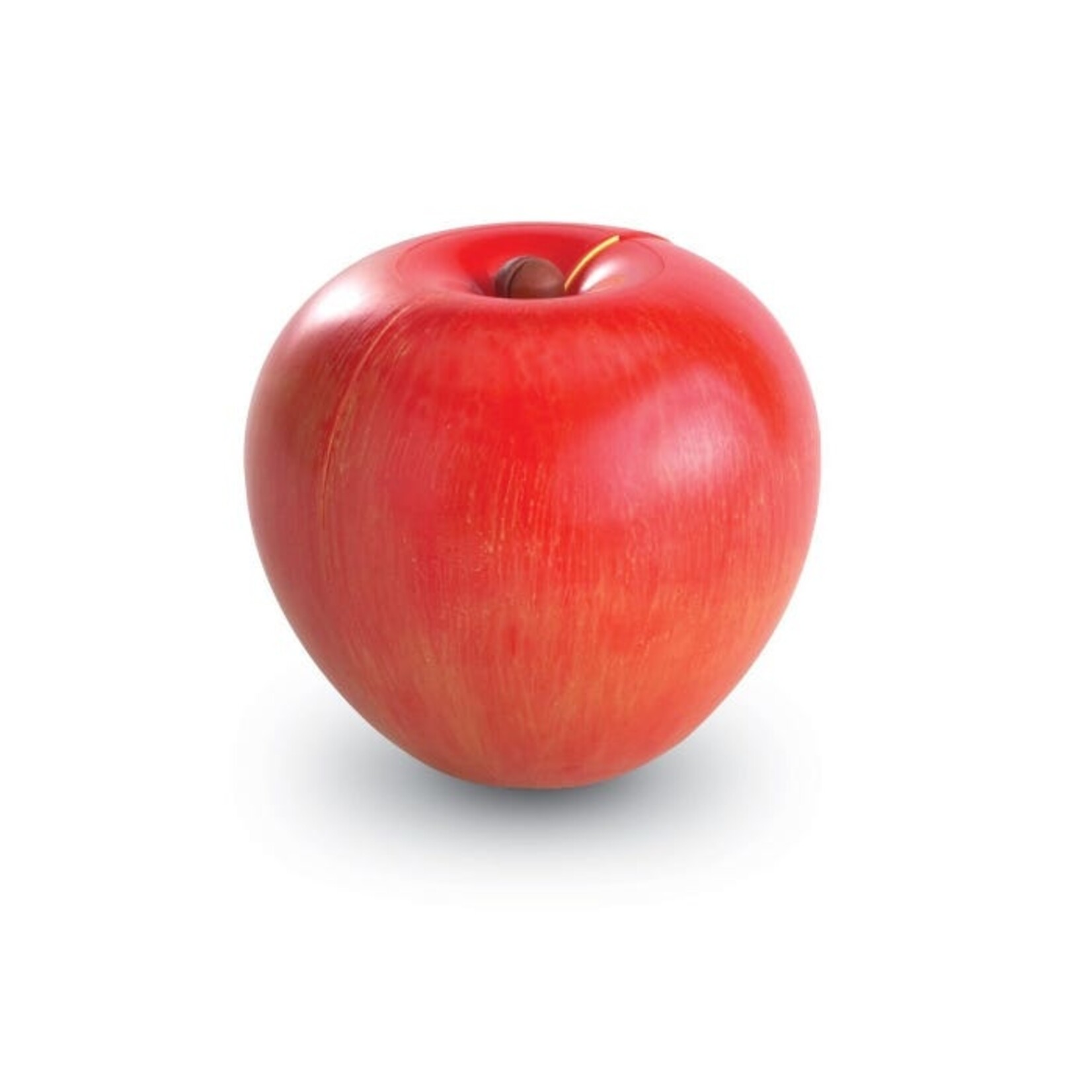 LEARNING RESOURCES INC Magnetic Apple Fractions