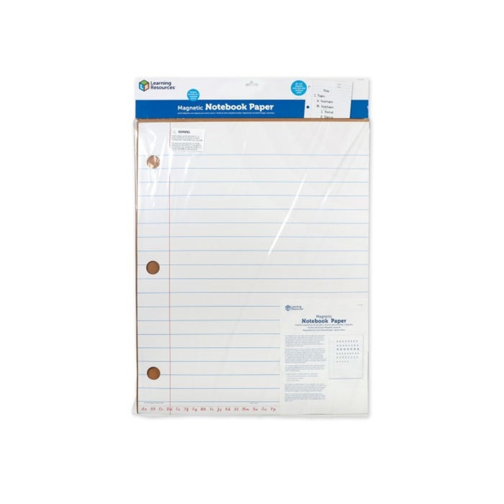 LEARNING RESOURCES INC CHT MAG NOTEBOOK PAPER