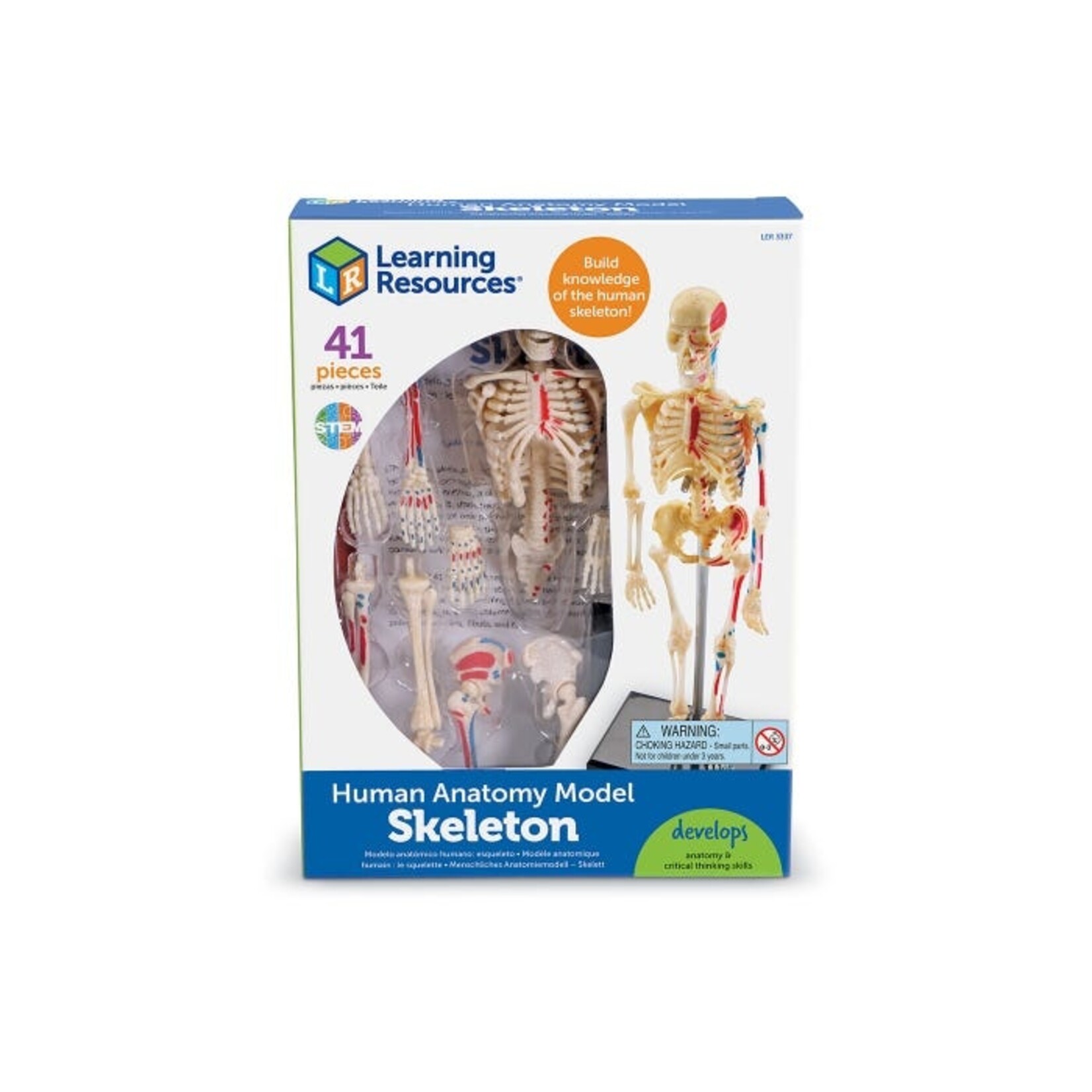 LEARNING RESOURCES INC Anatomy Model - Skeleton