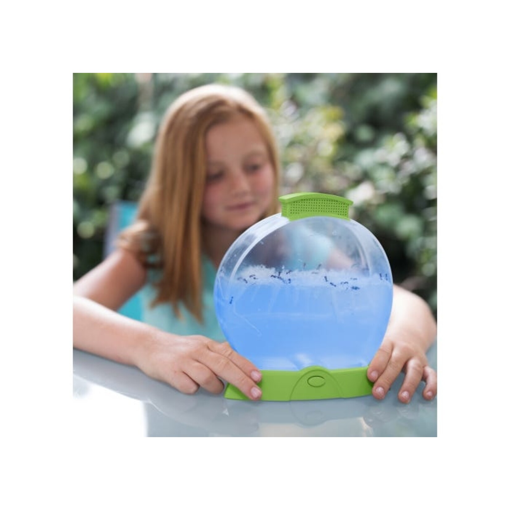 EDUCATIONAL INSIGHTS INC GeoSafari® Day 'N' Night Ant Factory