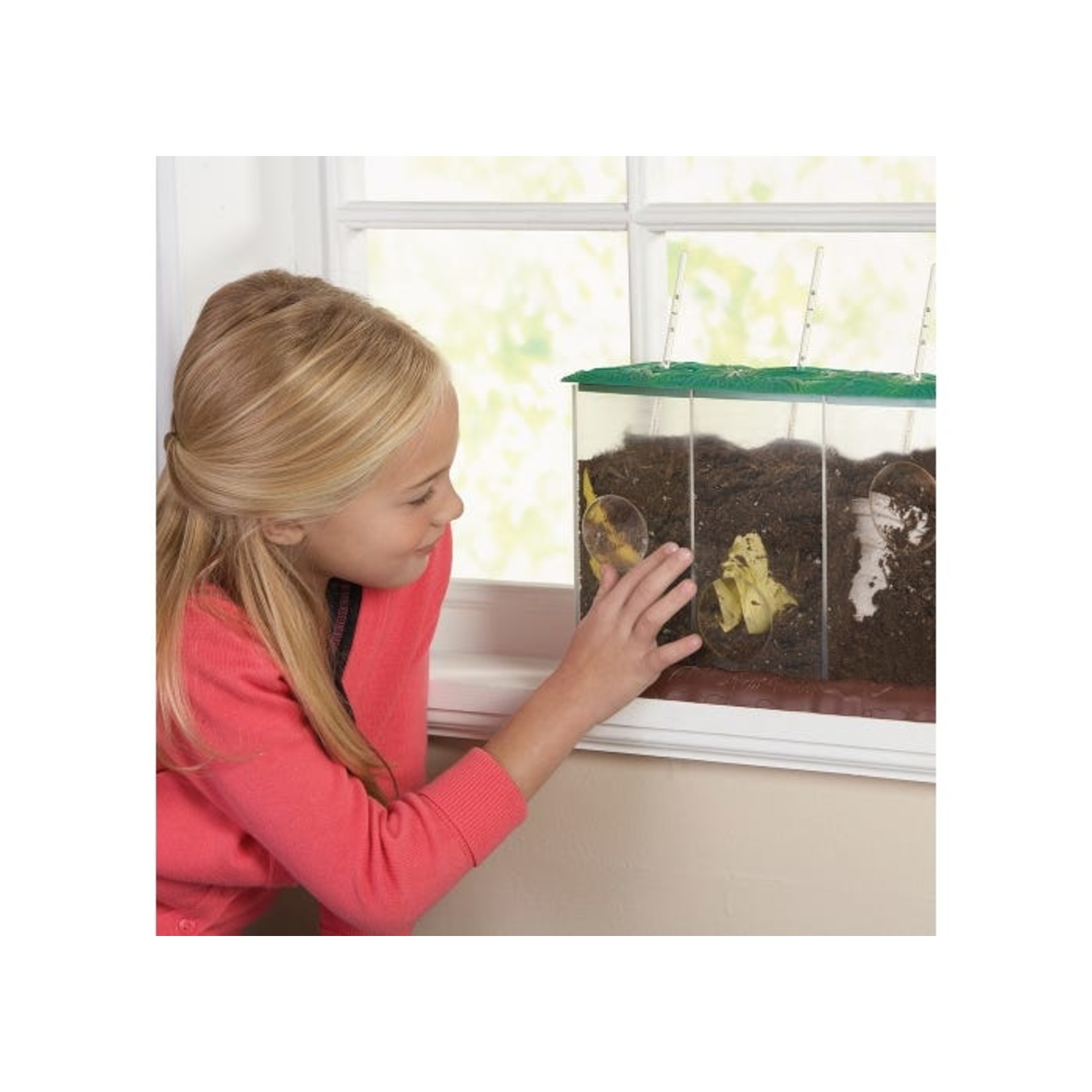 EDUCATIONAL INSIGHTS INC Now You See It, Now You Don't See-Through Compost Container