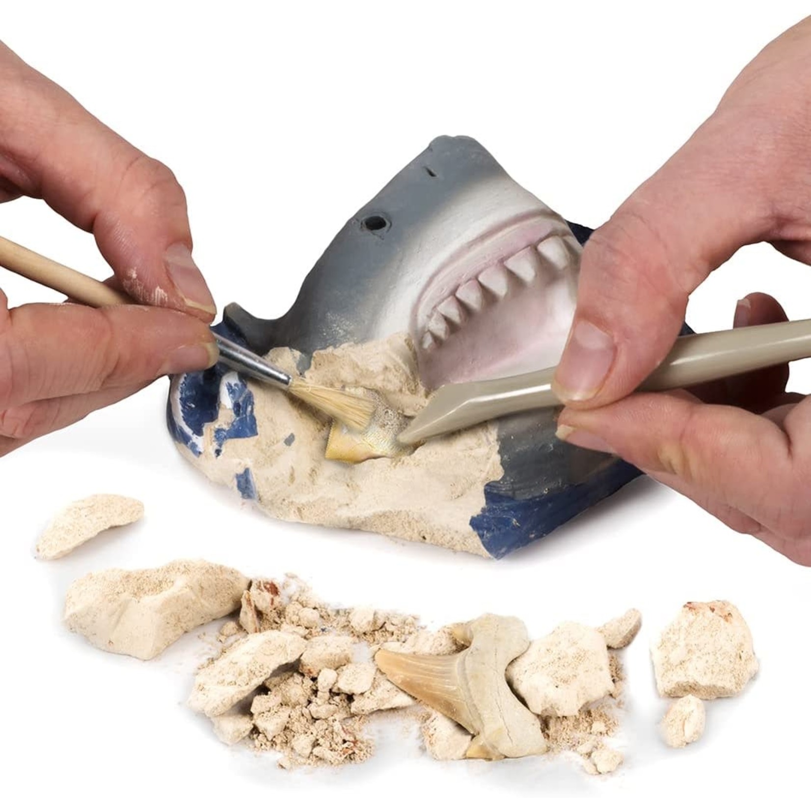 NATIONAL GEOGRAPHIC National Geographic Shark Tooth Dig Kit