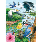 OUTSET MEDIA North American Birds - Tray Puzzle