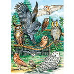 OUTSET MEDIA North American Owls - Tray Puzzle