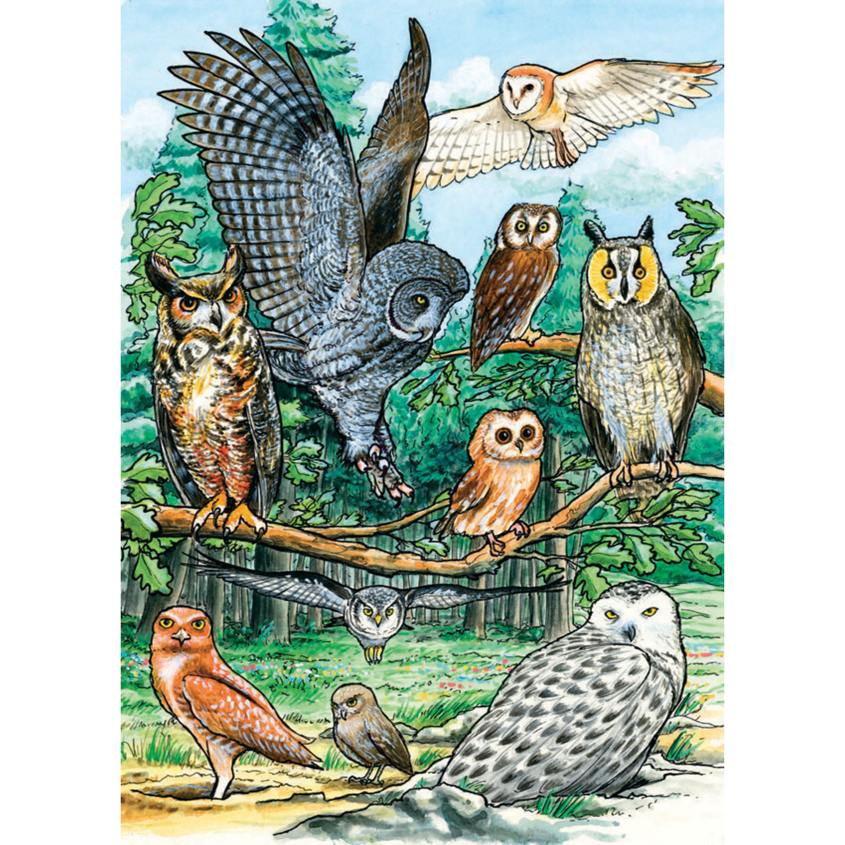 OUTSET MEDIA North American Owls - Tray Puzzle