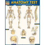 BAR CHARTS QuickStudy: Anatomy Test Laminated Study Guide