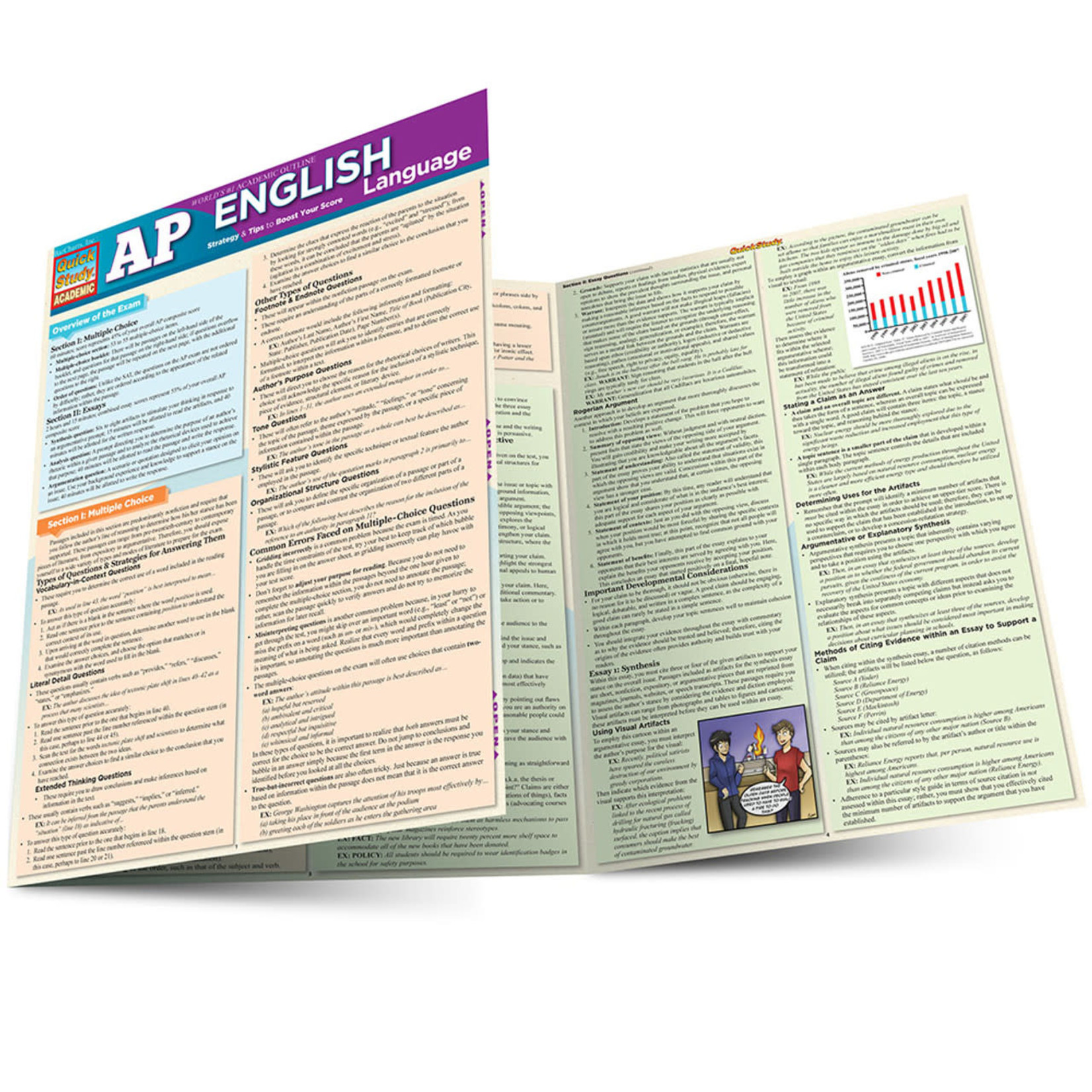 BAR CHARTS QuickStudy: AP English Laminated Study Guide