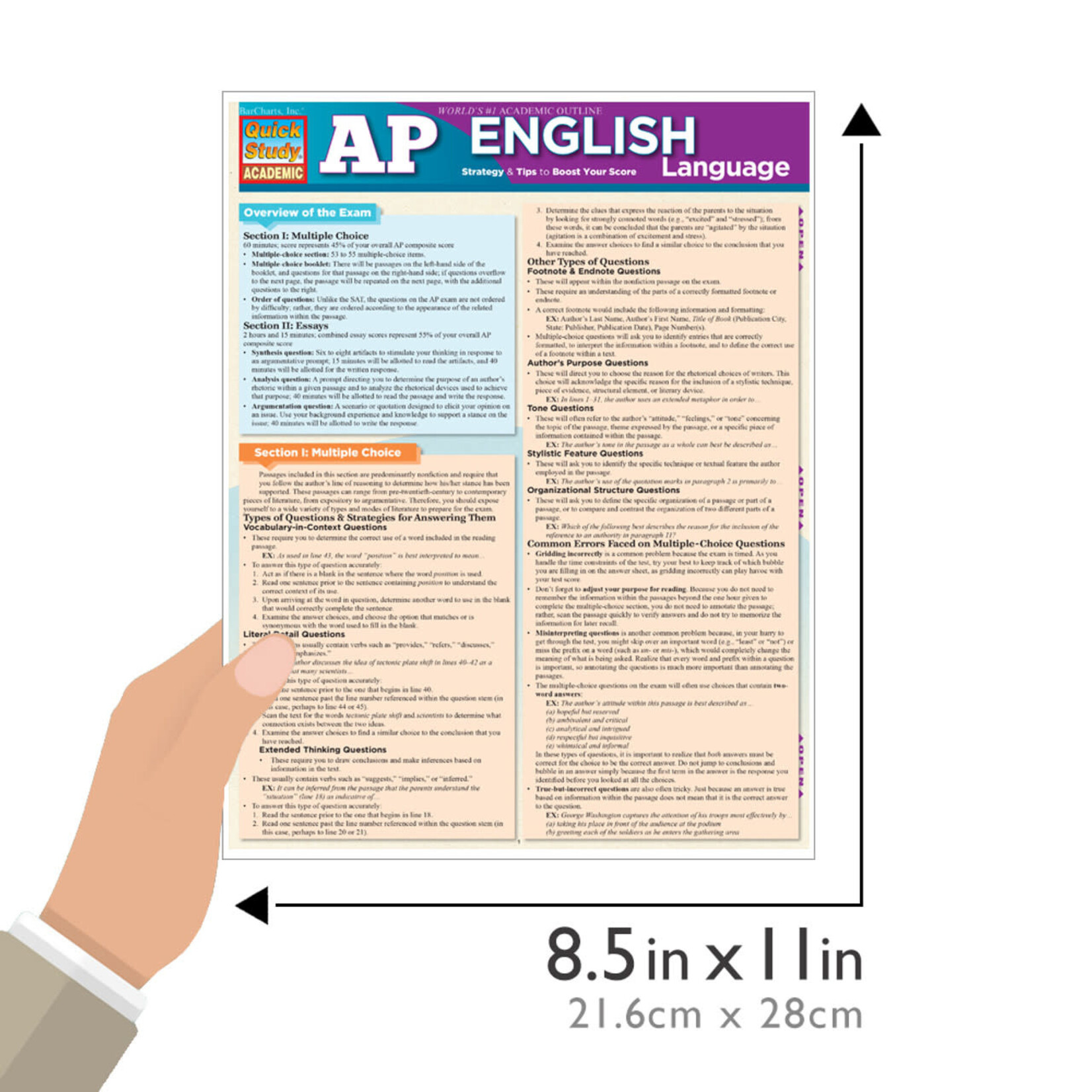 BAR CHARTS QuickStudy: AP English Laminated Study Guide