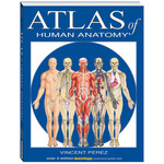 BAR CHARTS QuickStudy: Atlas of Human Anatomy Book
