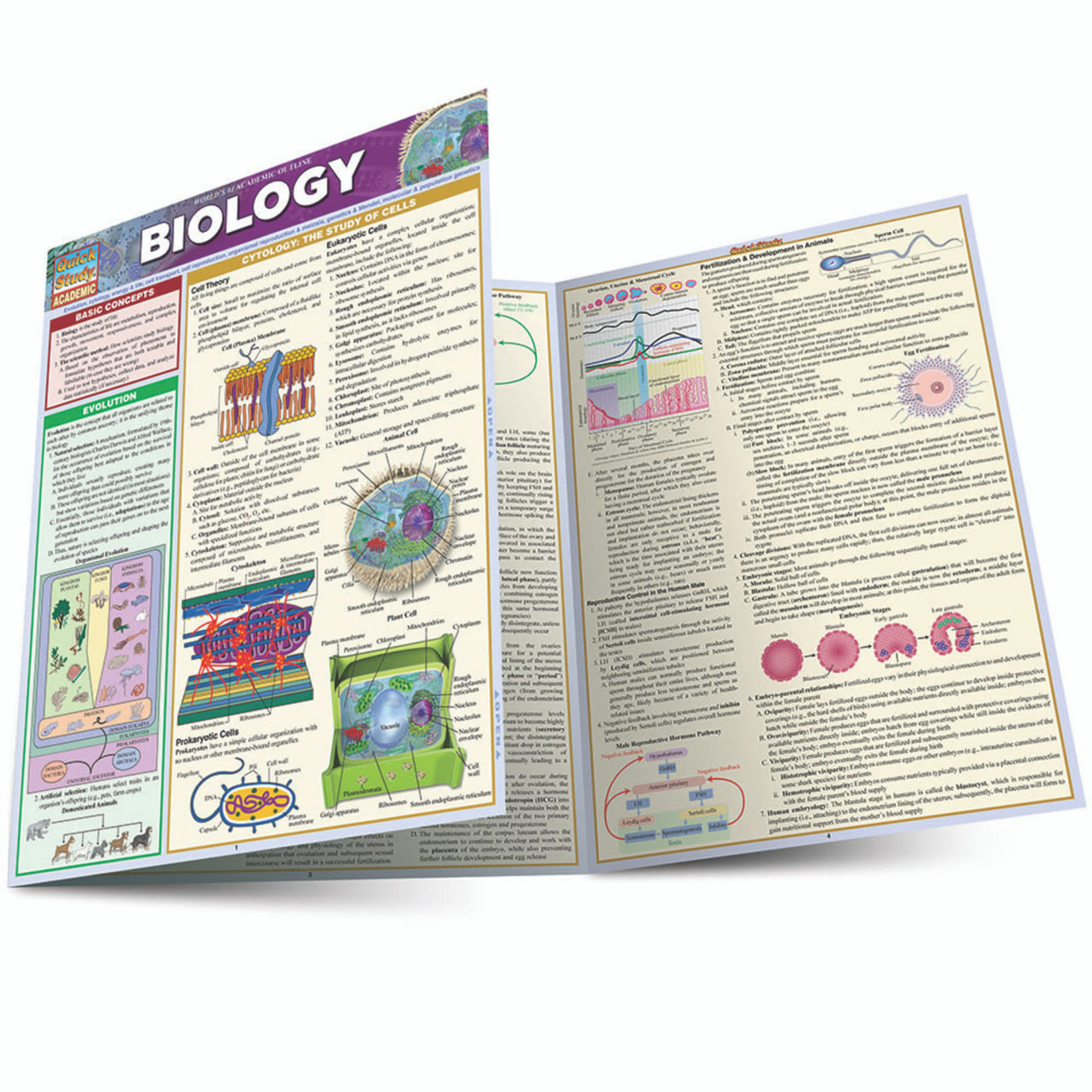 BAR CHARTS QuickStudy: Biology Laminated Study Guide