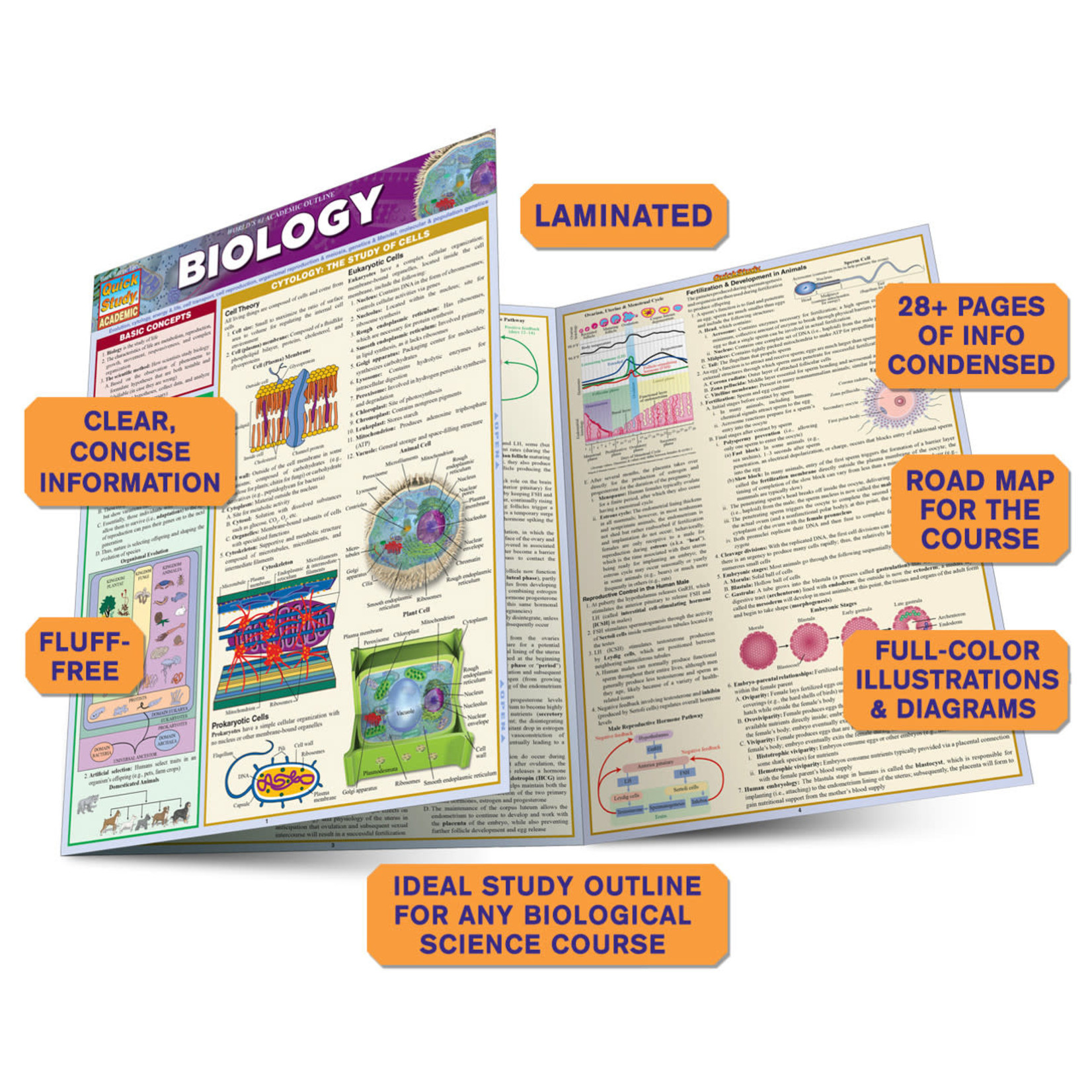 BAR CHARTS QuickStudy: Biology Laminated Study Guide