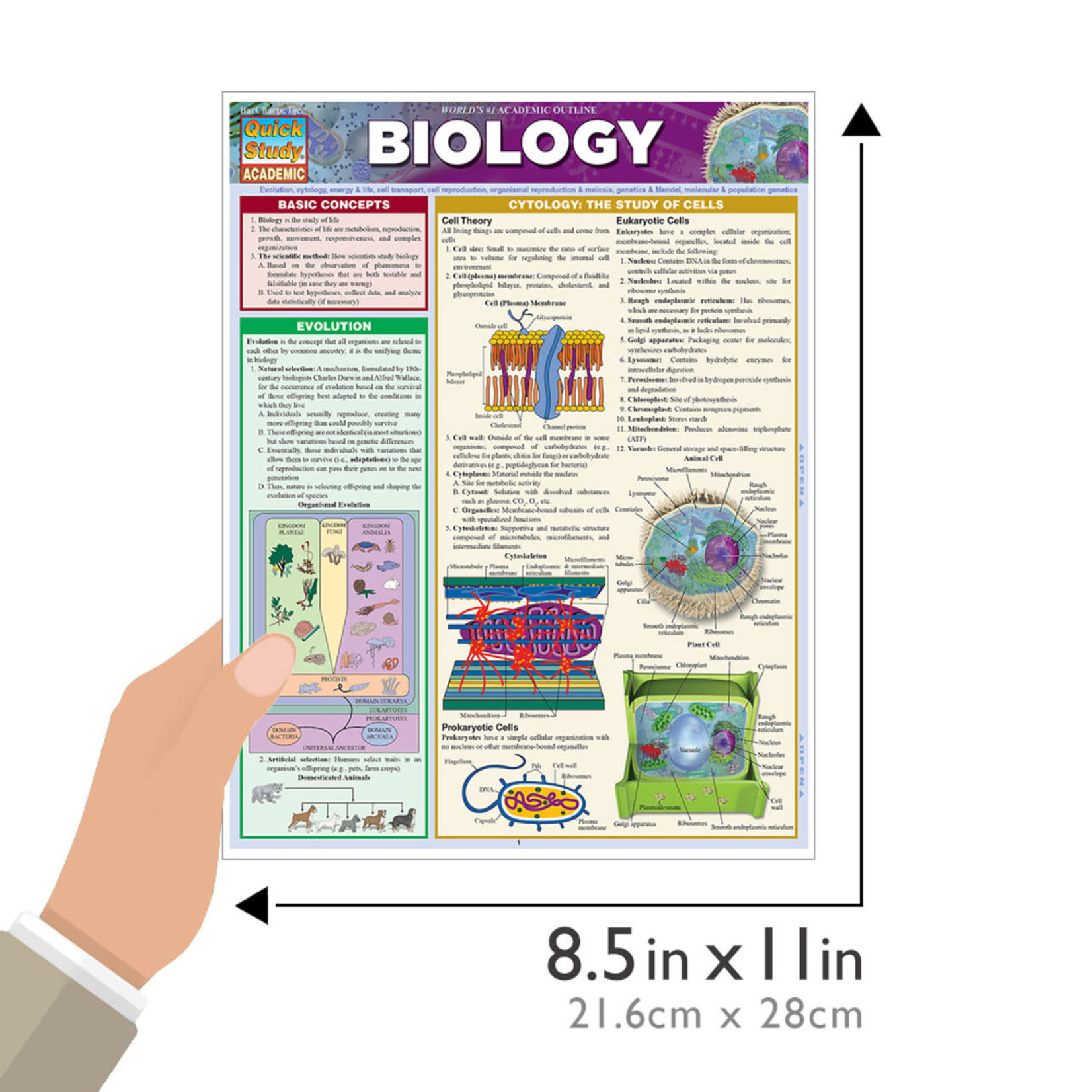 BAR CHARTS QuickStudy: Biology Laminated Study Guide