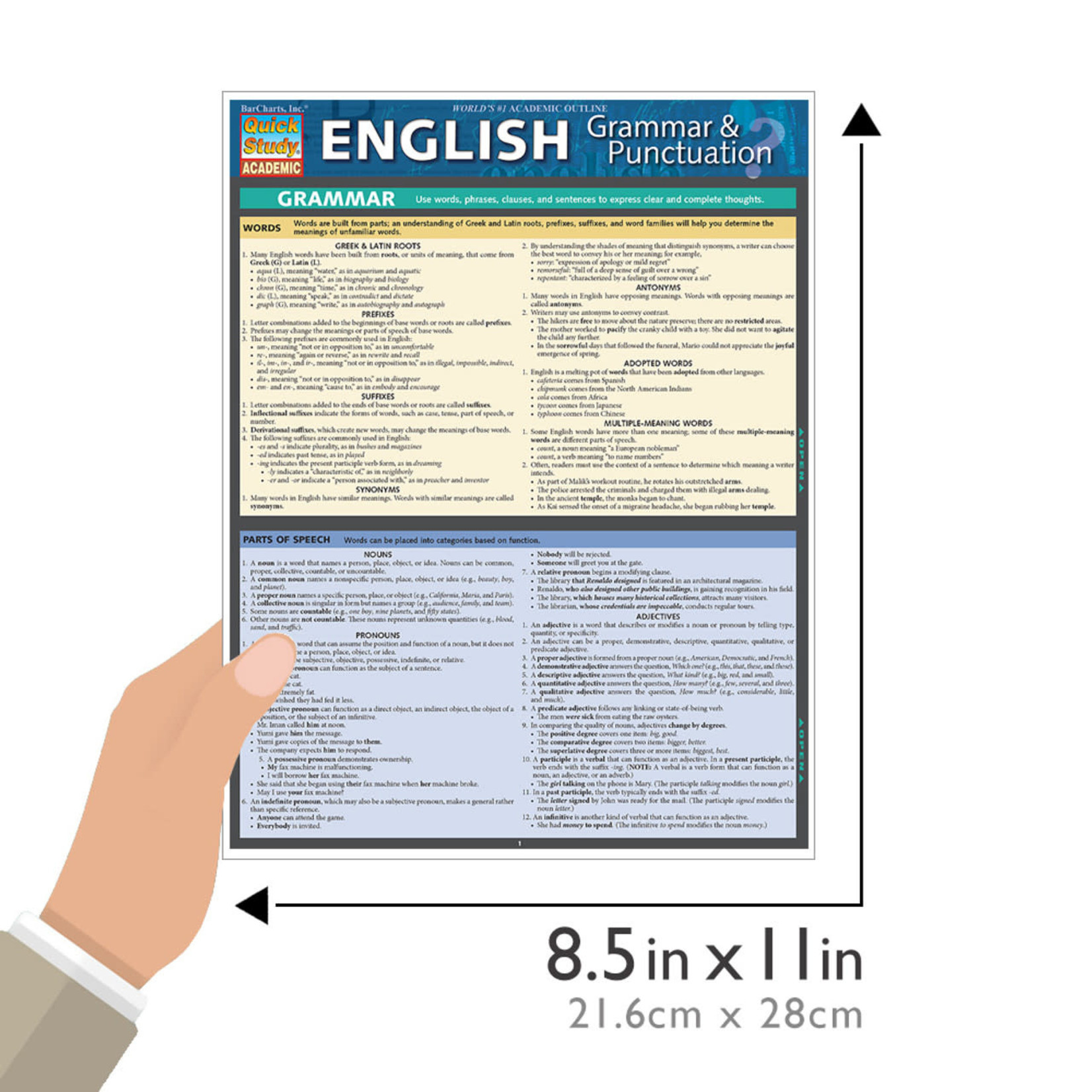 BAR CHARTS QuickStudy: English: Grammar & Punctuation Laminated Study Guide