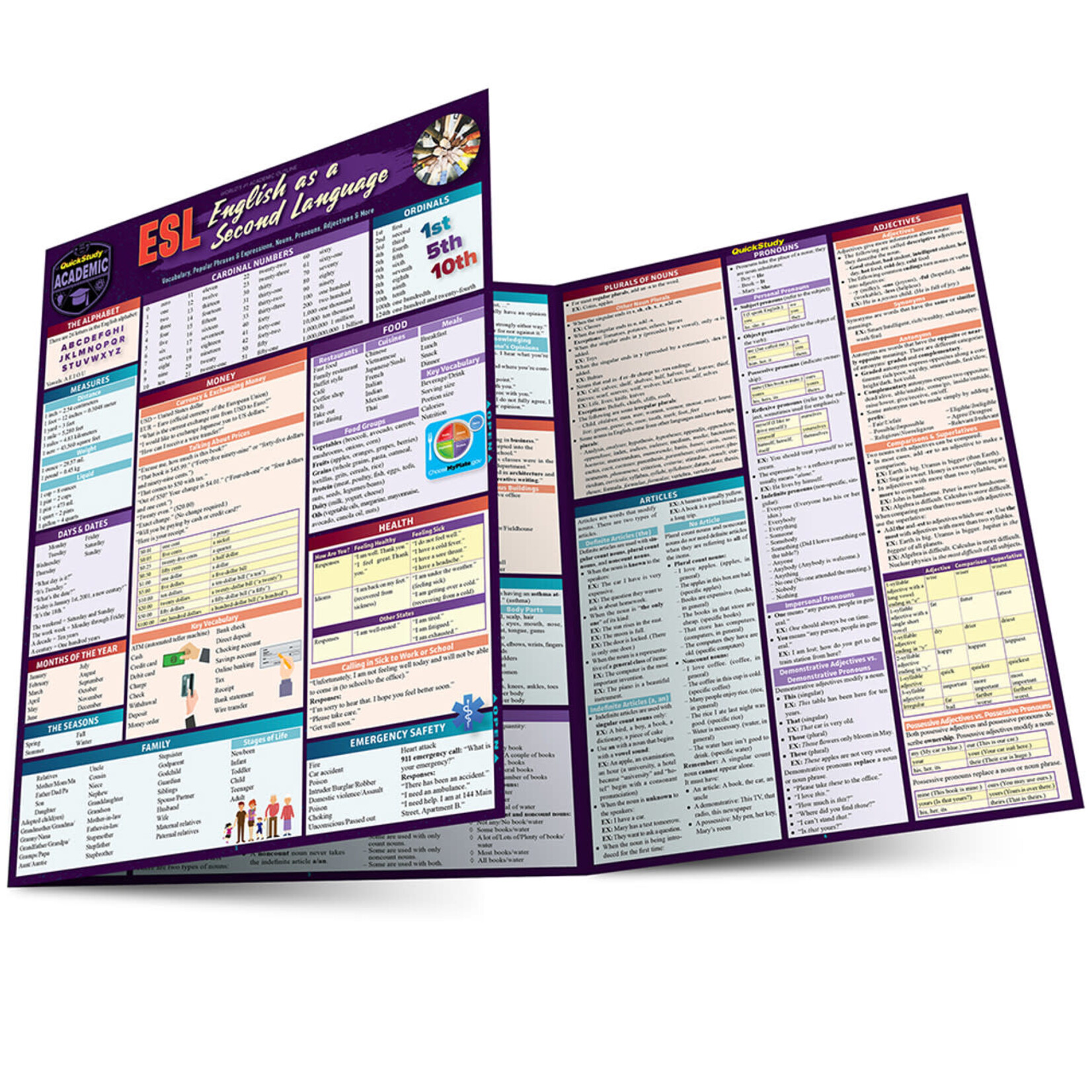 BAR CHARTS QuickStudy: ESL (English as a Second Language) Laminated Study Guide
