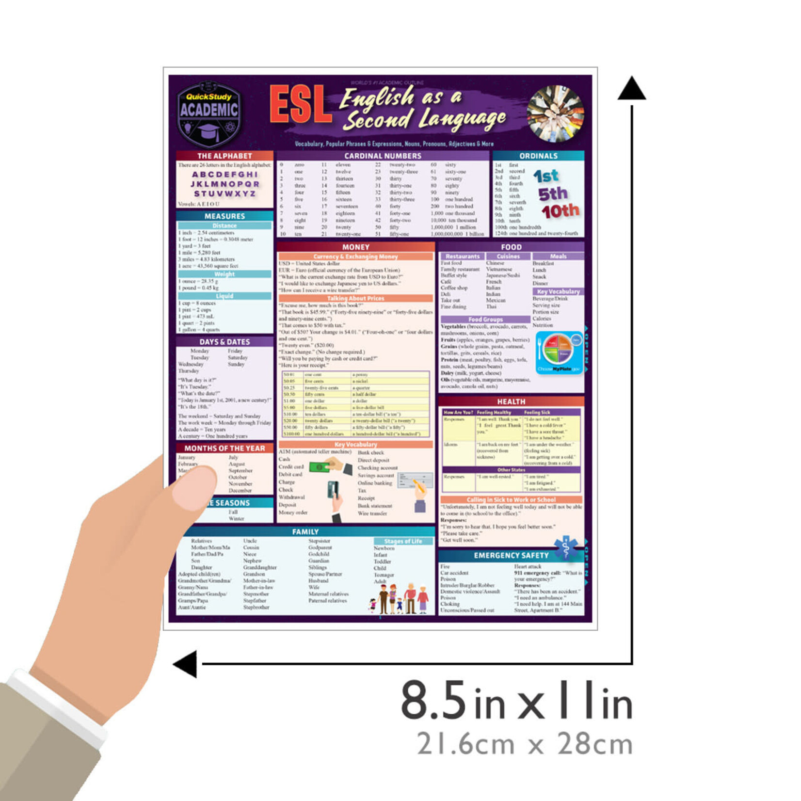 BAR CHARTS QuickStudy: ESL (English as a Second Language) Laminated Study Guide