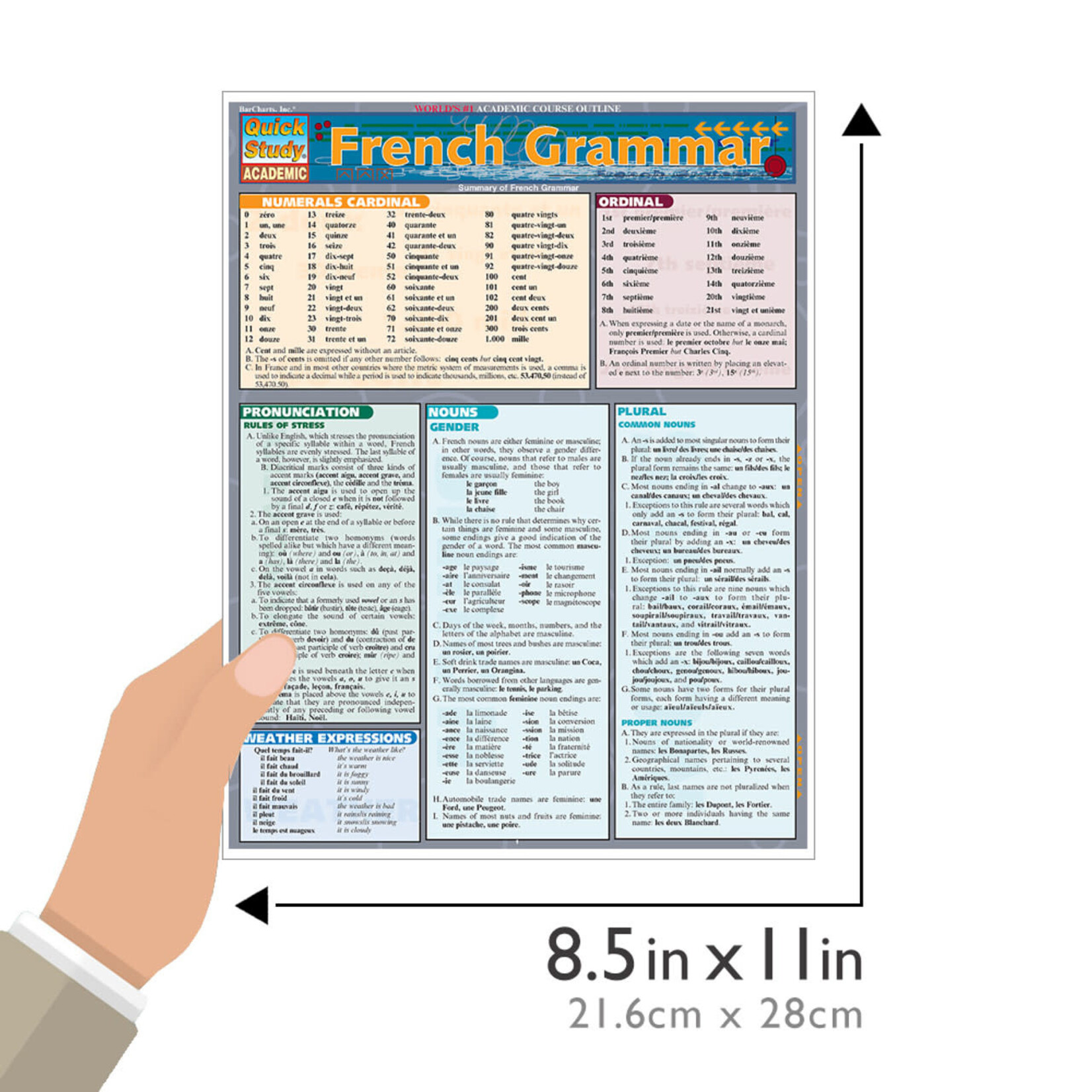 BAR CHARTS QuickStudy | French Grammar Laminated Study Guide