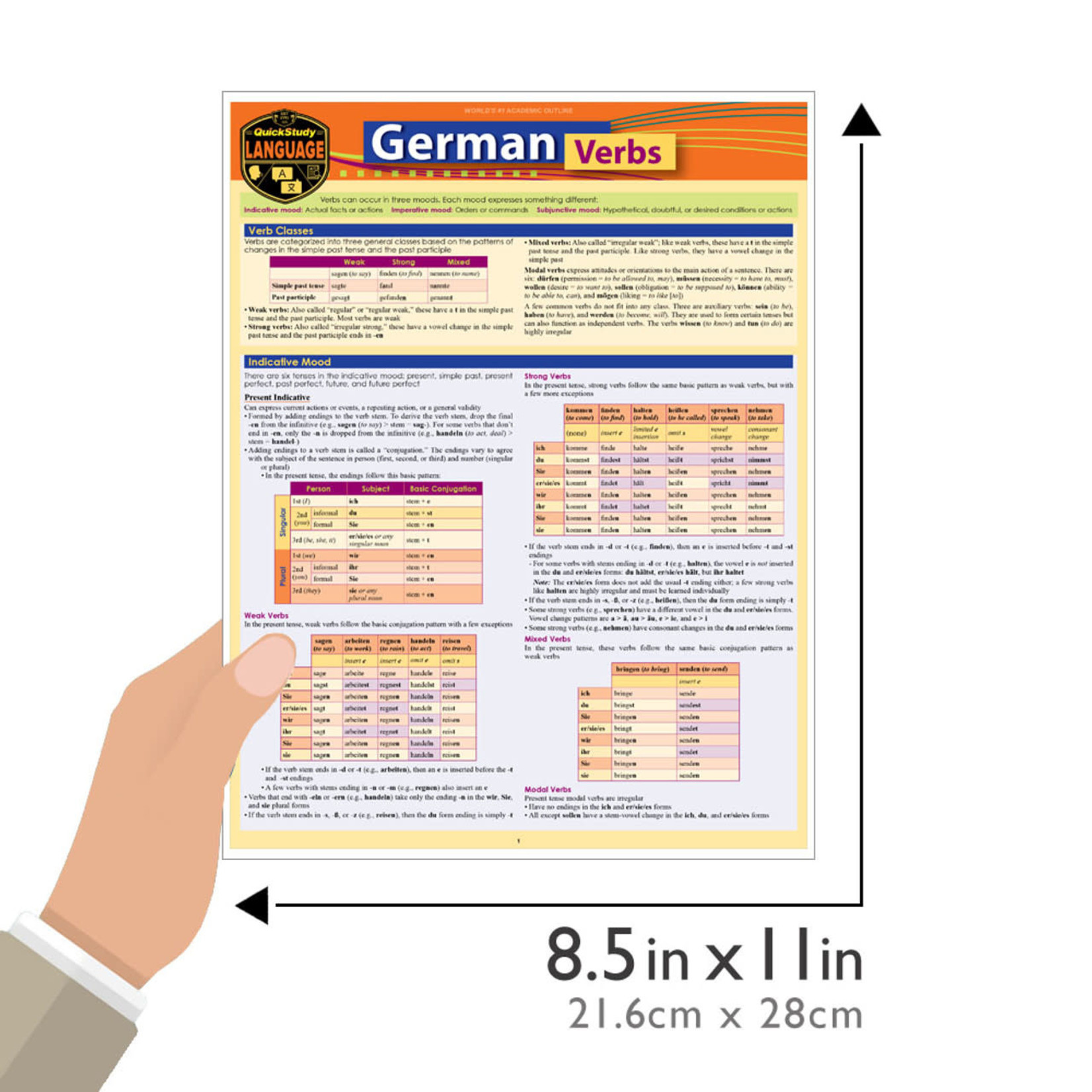 BAR CHARTS QuickStudy | German Verbs Laminated Study Guide