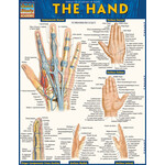 BAR CHARTS QuickStudy: The Hand Laminated Study Guide
