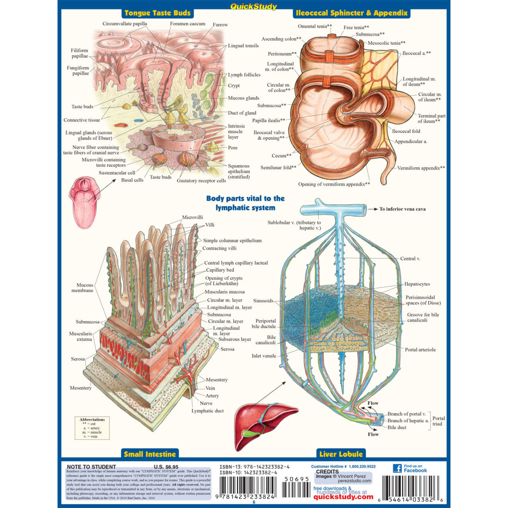 BAR CHARTS QuickStudy: Lymphatic System Laminated Study Guide