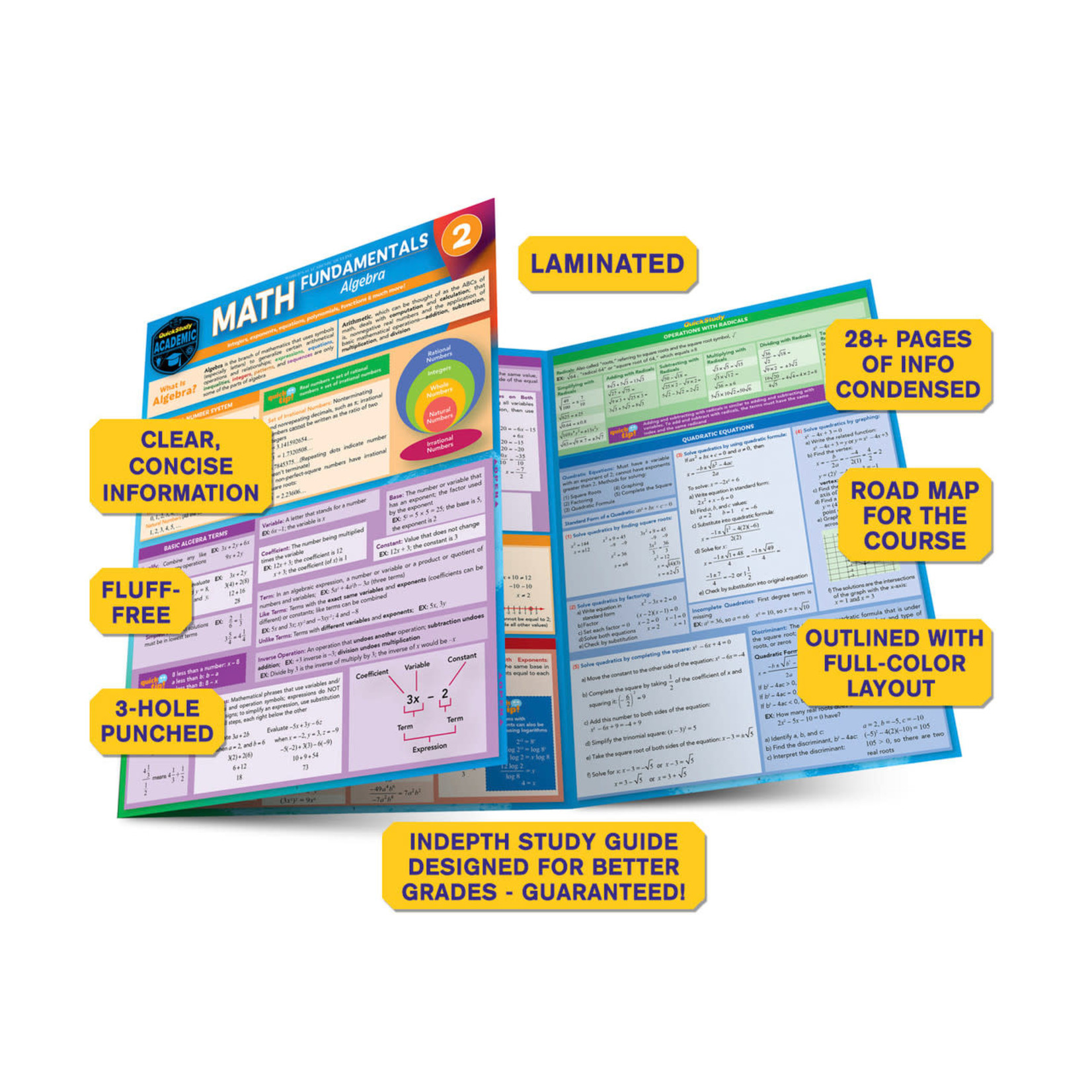 BAR CHARTS QuickStudy: Math Fundamentals 2: Algebra Laminated Study Guide