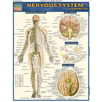 BAR CHARTS QuickStudy: Nervous System Advanced Laminated Study Guide