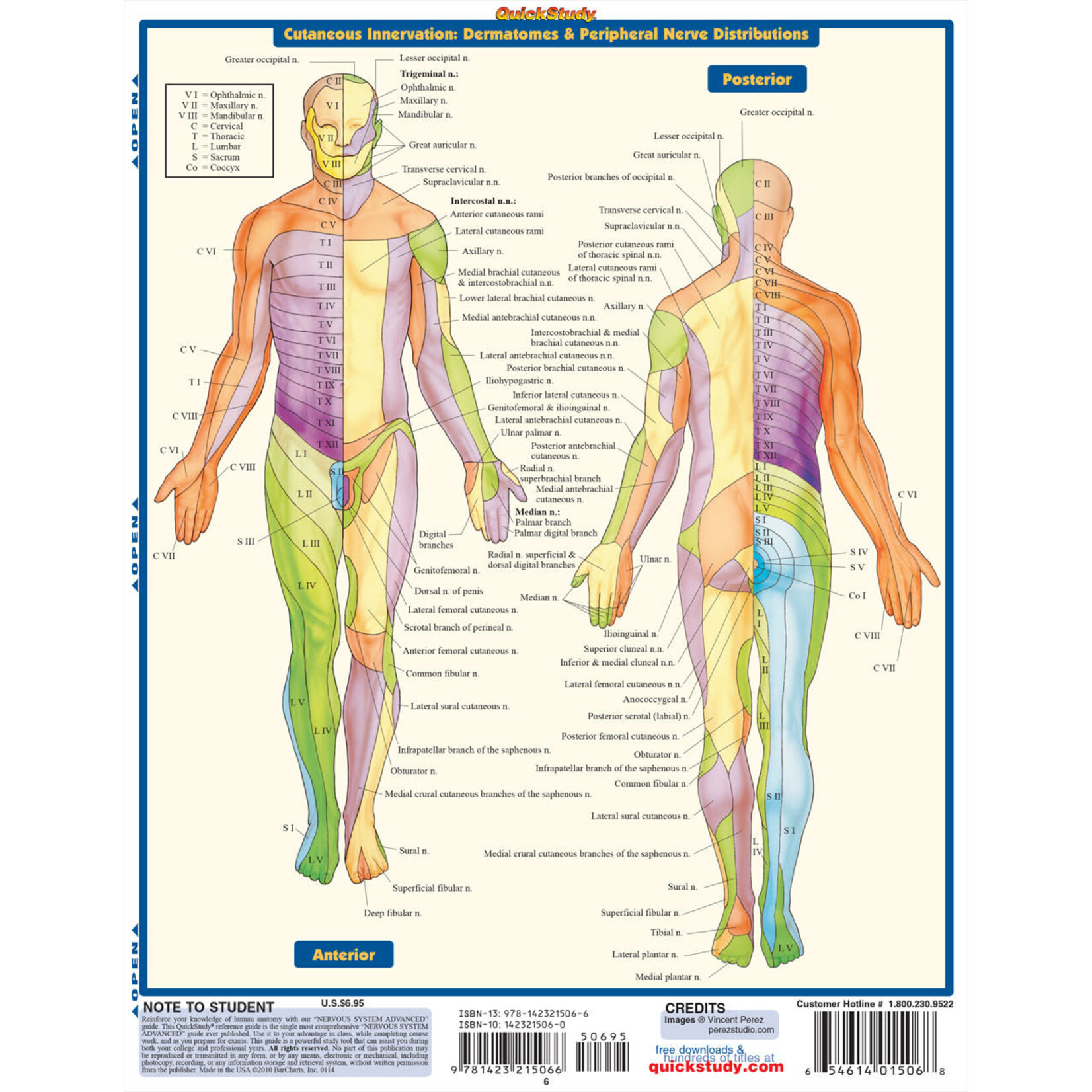 BAR CHARTS QuickStudy: Nervous System Advanced Laminated Study Guide