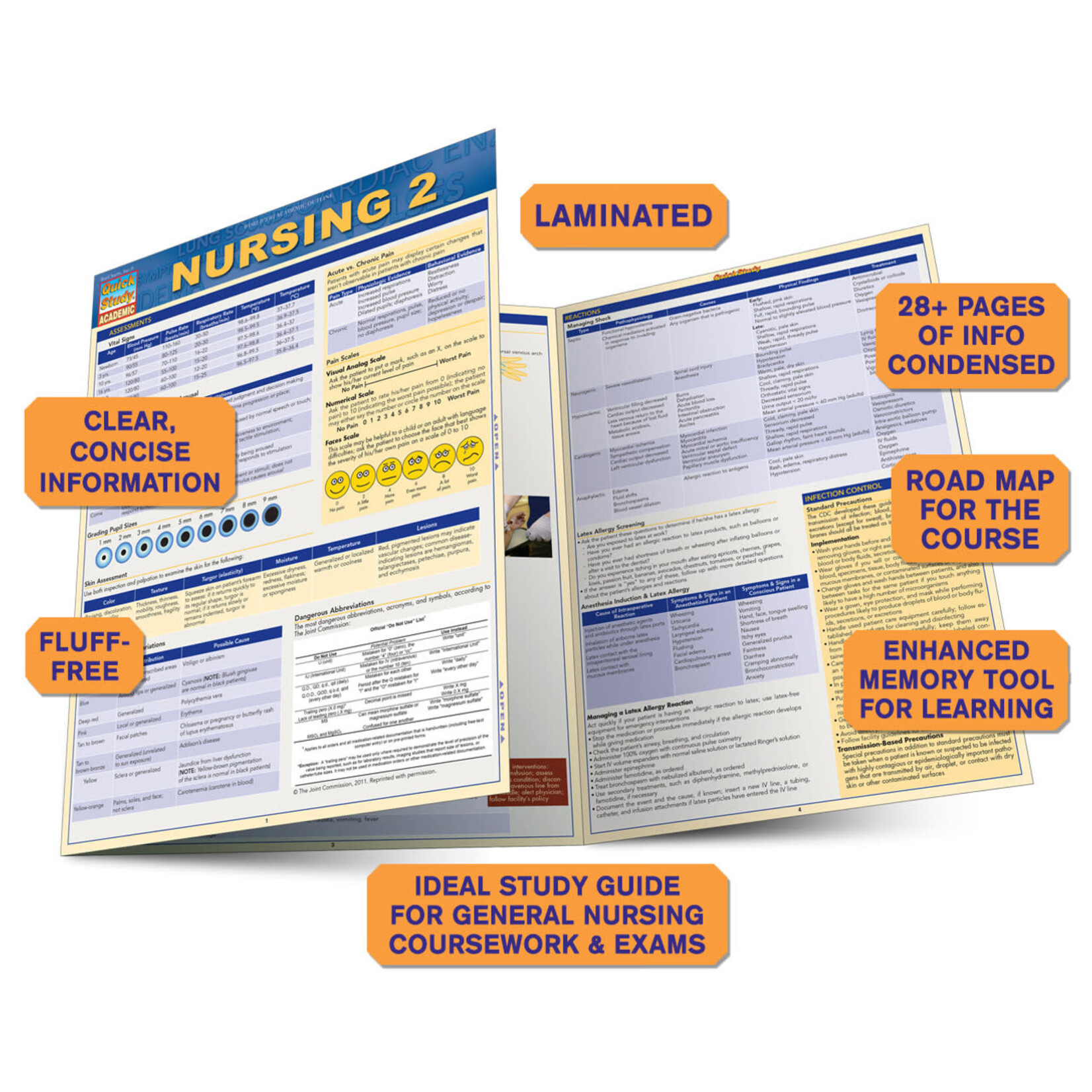 BAR CHARTS QuickStudy: Nursing 2 Laminated Study Guide