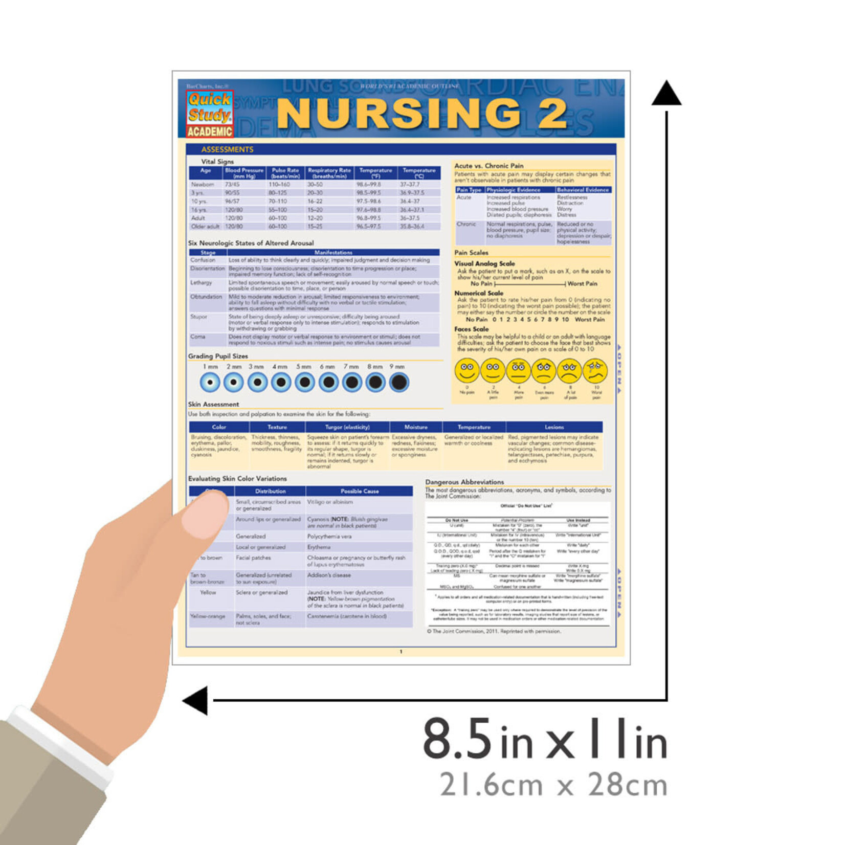 BAR CHARTS QuickStudy: Nursing 2 Laminated Study Guide