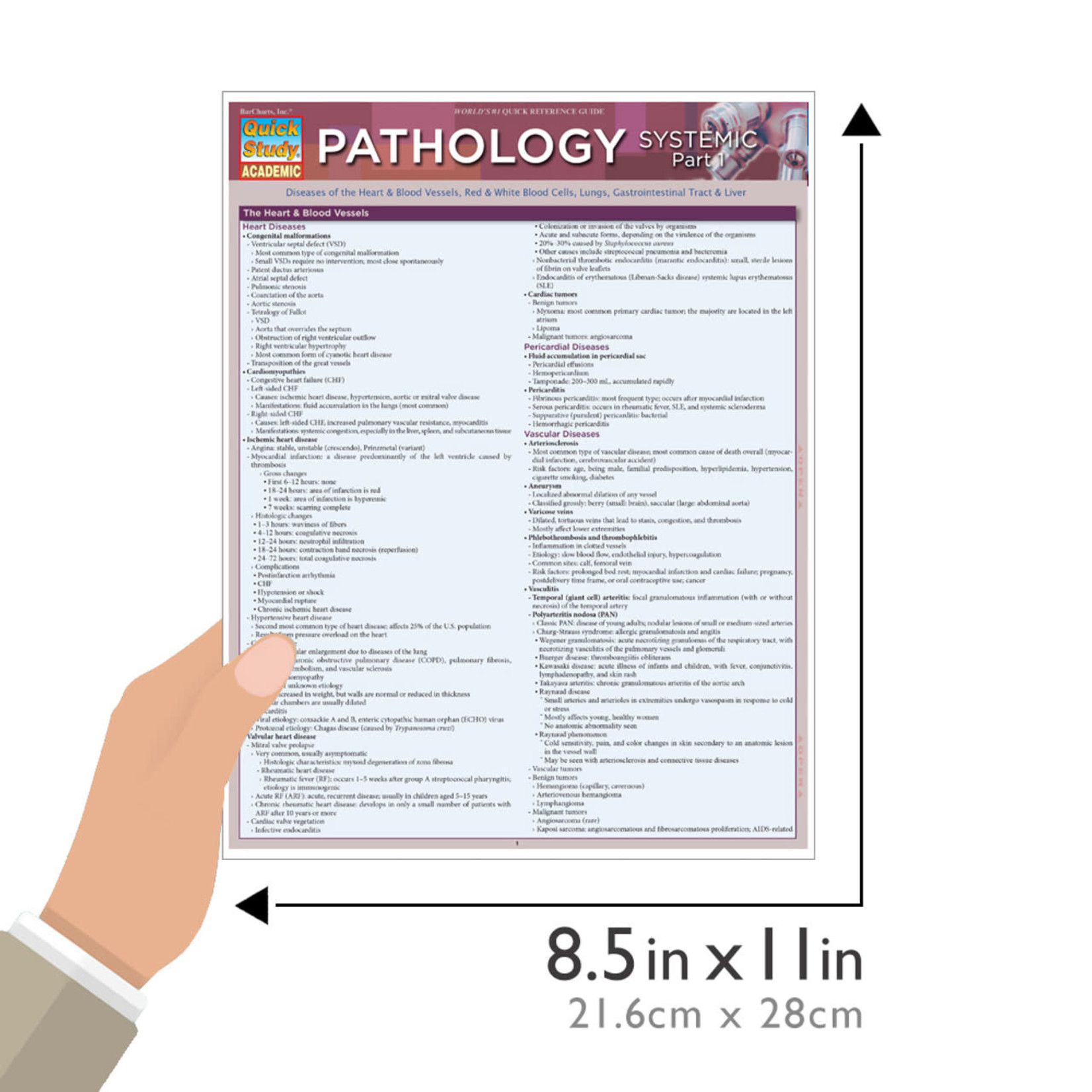 BAR CHARTS QuickStudy: Pathology: Systemic 1 Laminated Study Guide