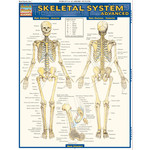 BAR CHARTS QuickStudy | Skeletal System Advanced Laminated Study Guide