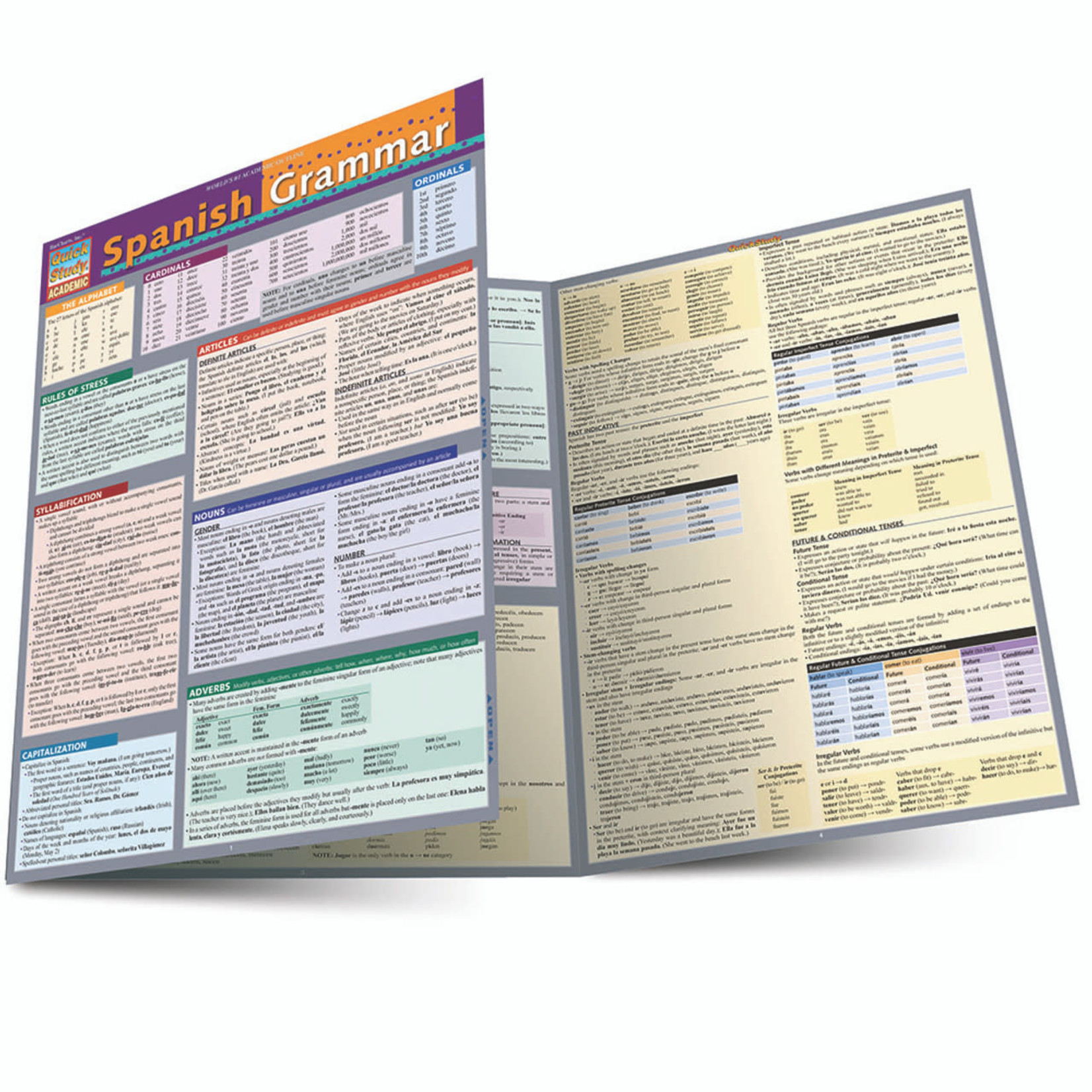 BAR CHARTS QuickStudy: Spanish Grammar Laminated Study Guide