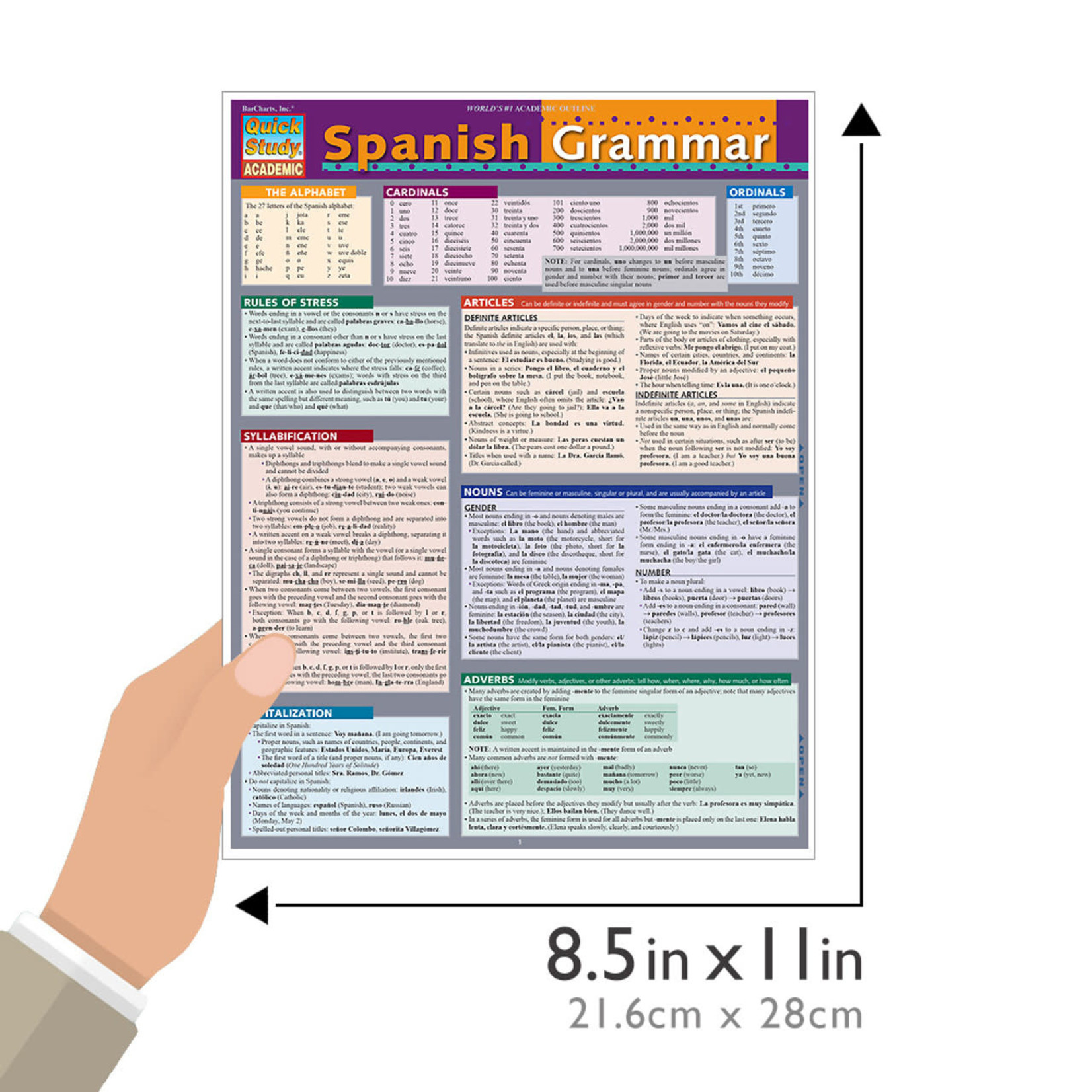 BAR CHARTS QuickStudy: Spanish Grammar Laminated Study Guide