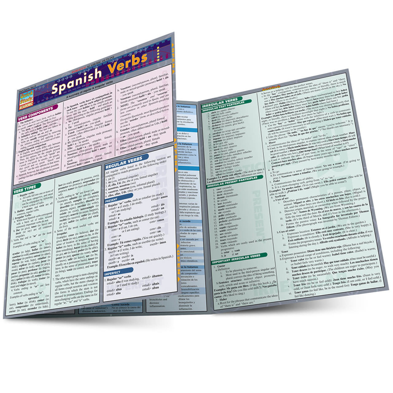 BAR CHARTS QuickStudy: Spanish Verbs Laminated Study Guide