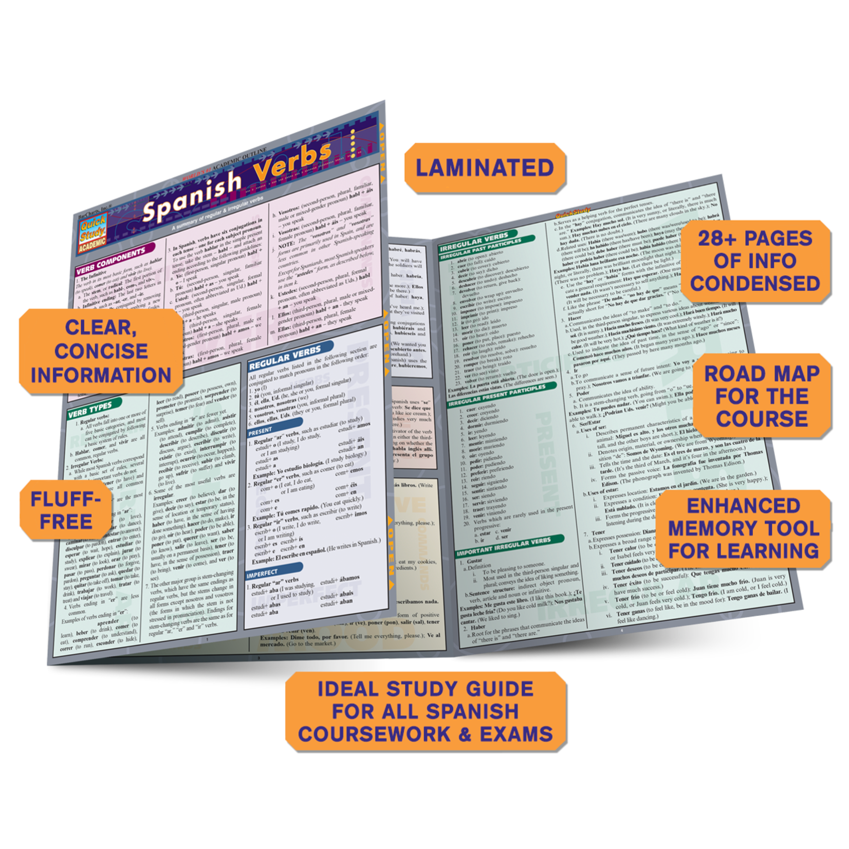 BAR CHARTS QuickStudy: Spanish Verbs Laminated Study Guide