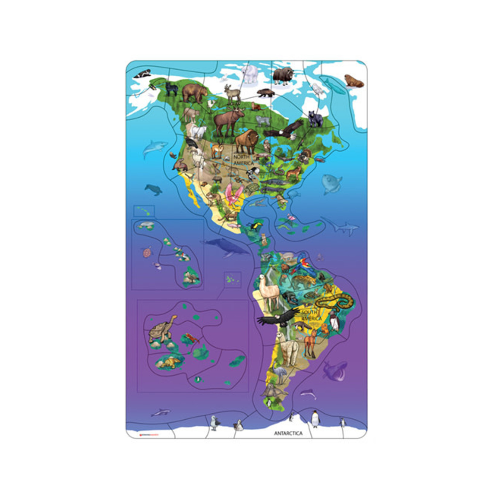 Magnetic Wildlife Map Puzzle: North & South America