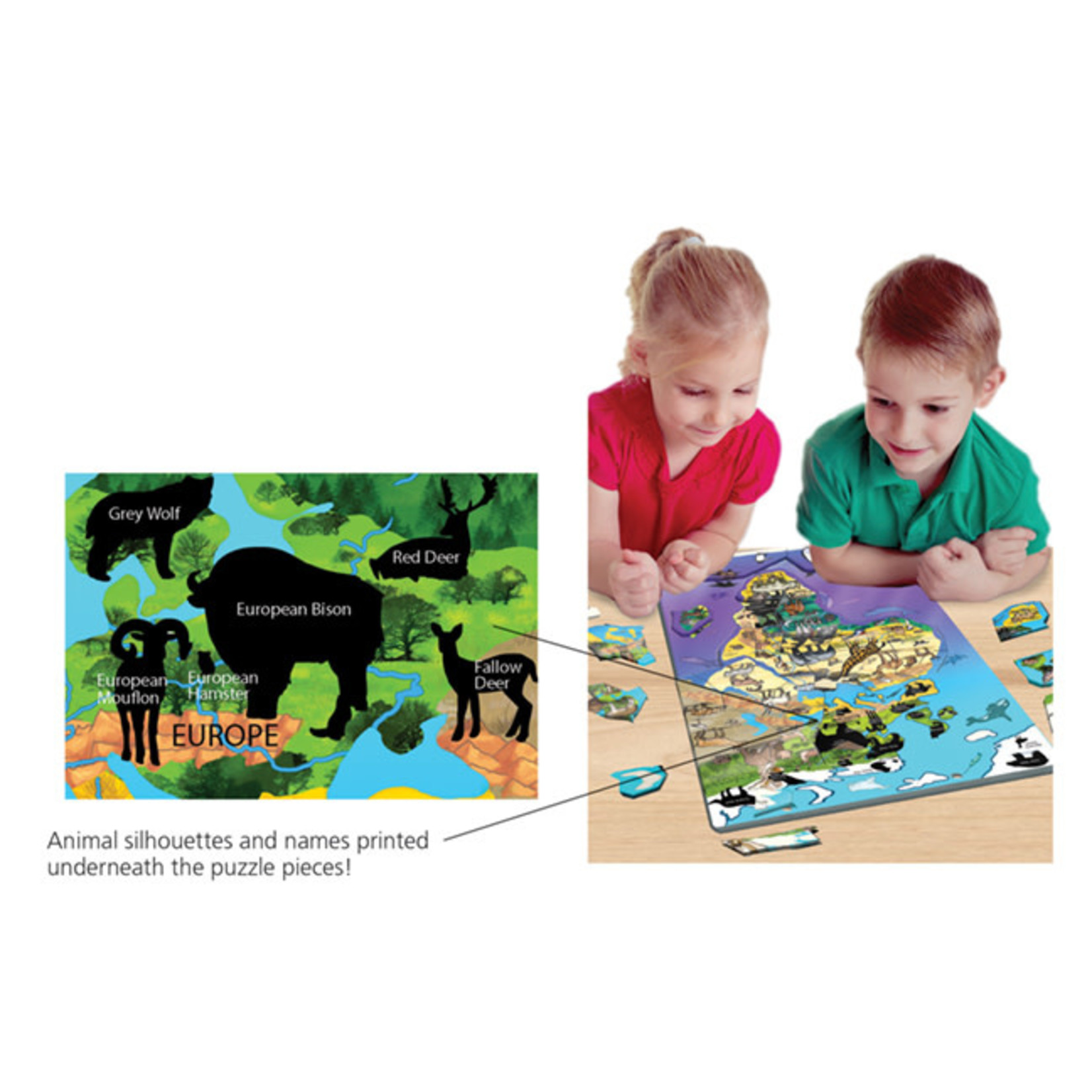 Magnetic Wildlife Map Puzzle: North & South America