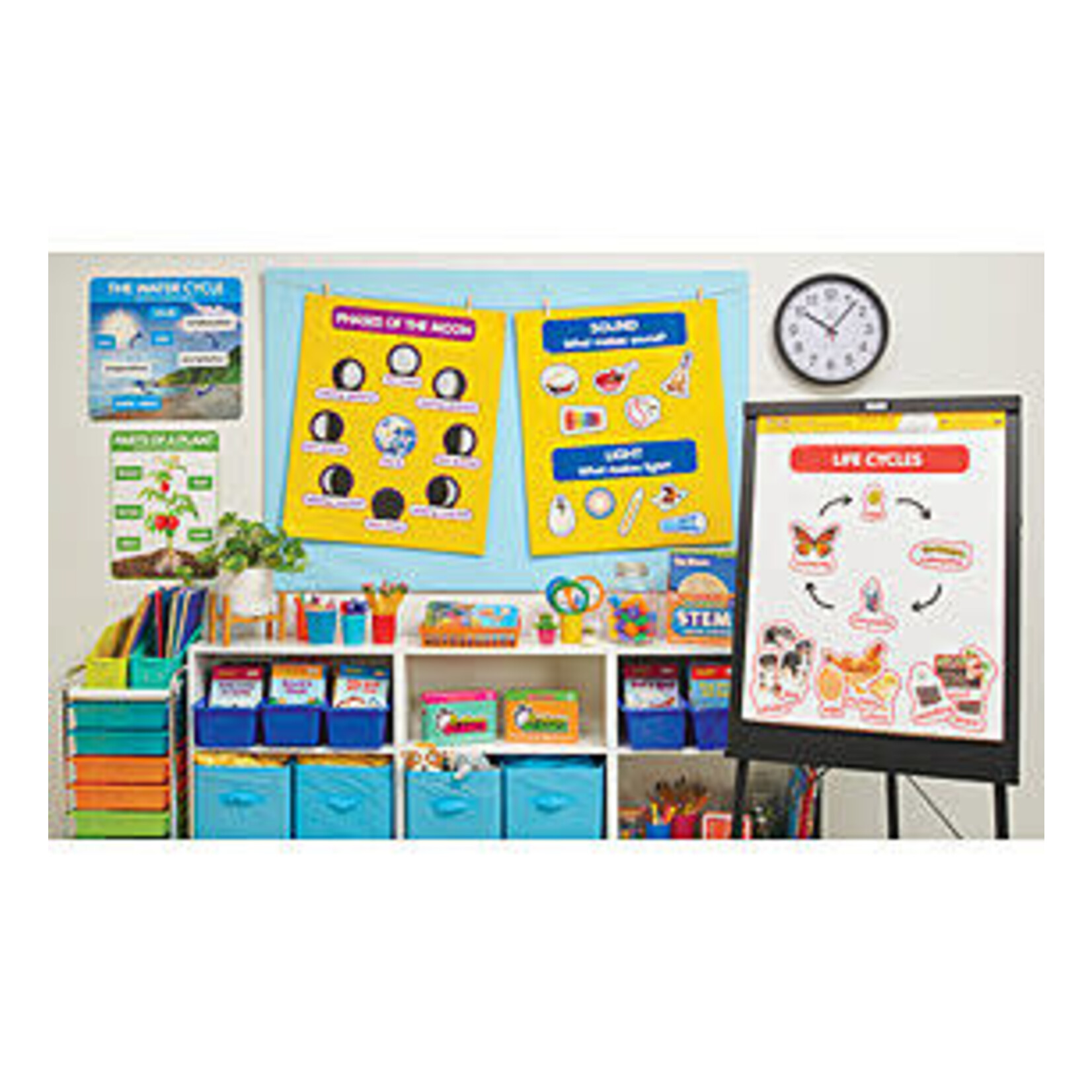 SCHOLASTIC TEACHING RESOURCES Early Science Concepts Bulletin Board