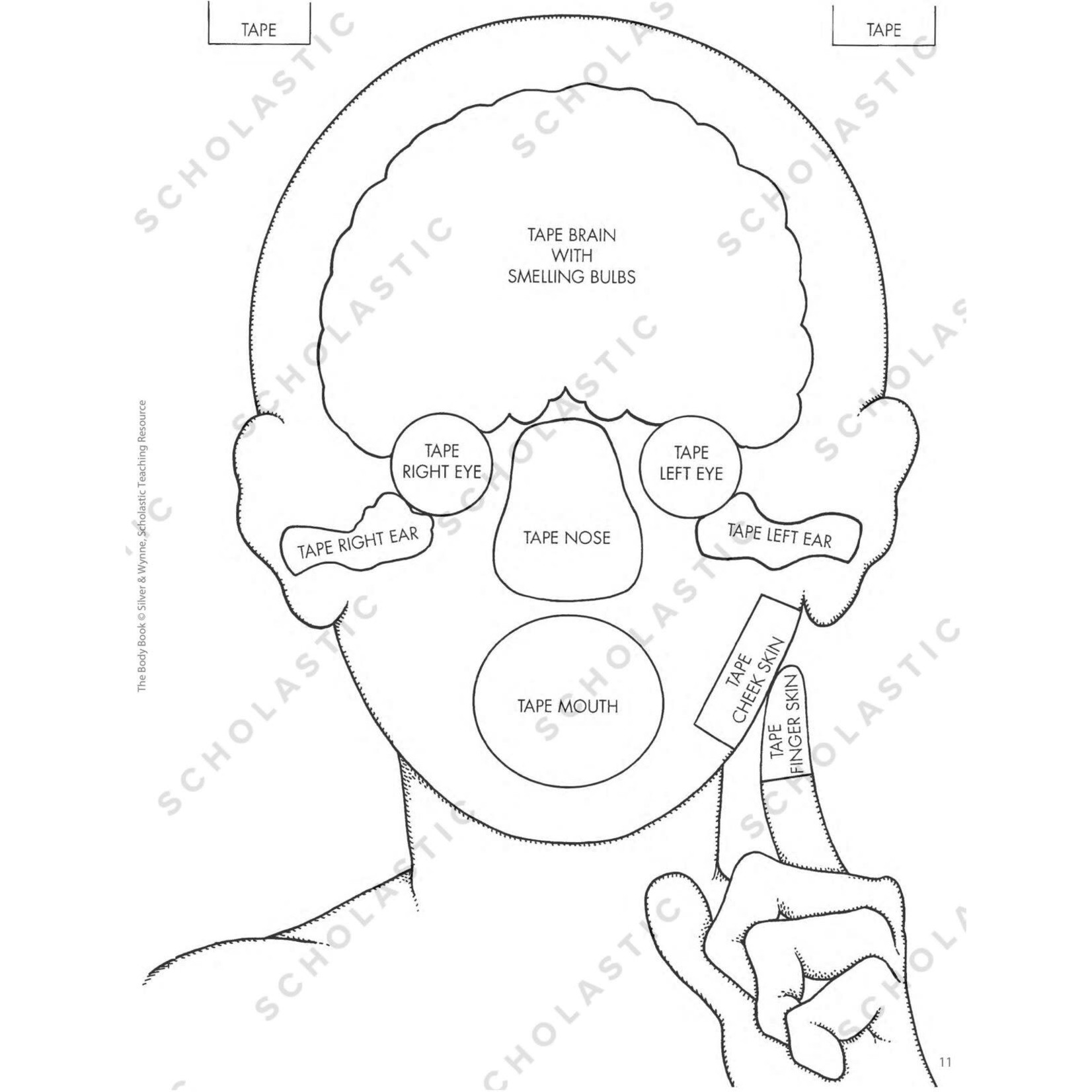 SCHOLASTIC TEACHING RESOURCES The Body Book
