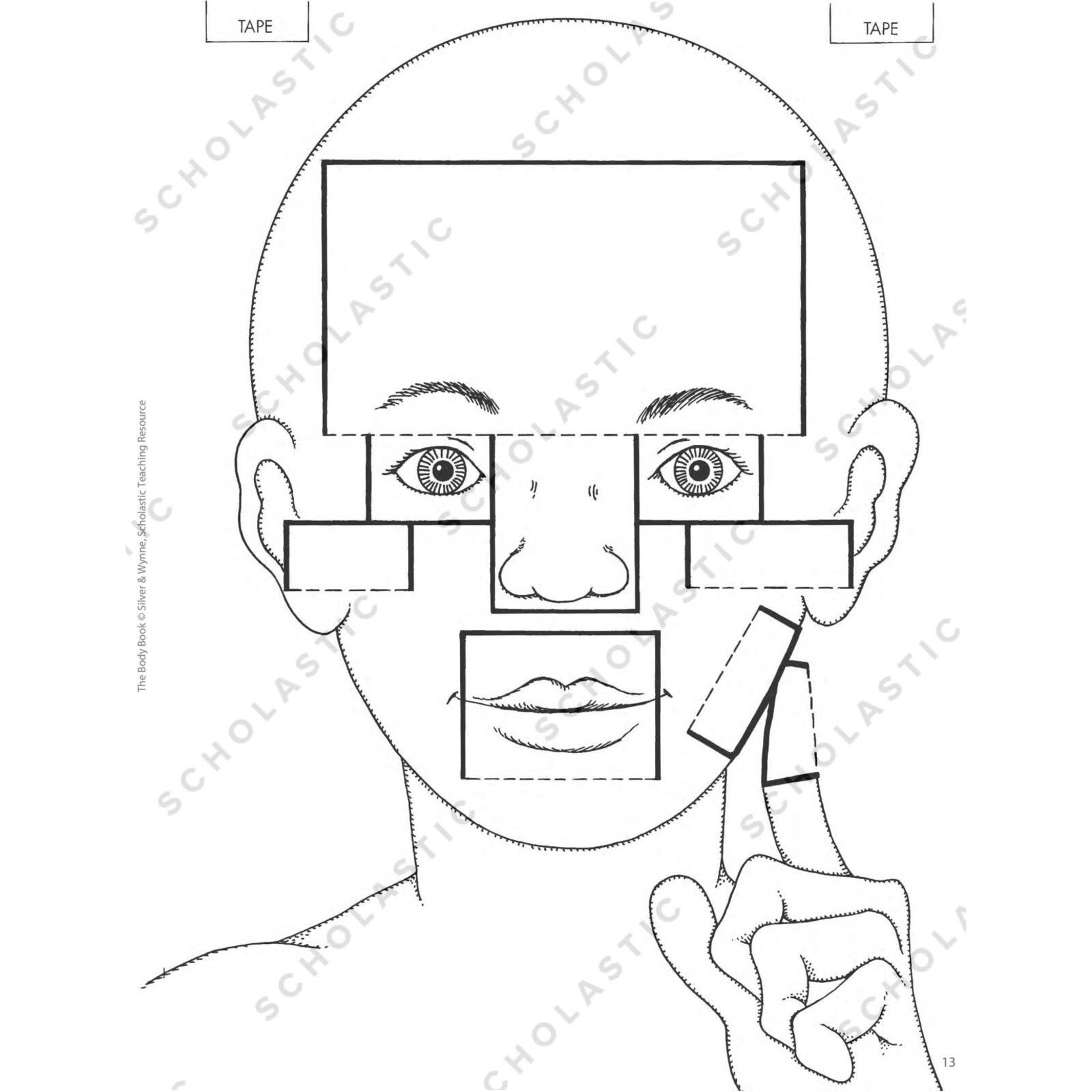 SCHOLASTIC TEACHING RESOURCES The Body Book