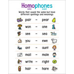 SCHOLASTIC TEACHING RESOURCES Anchor Chart Homophones