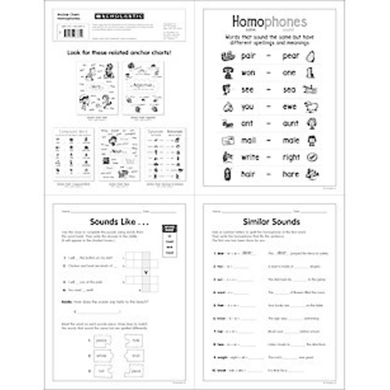 SCHOLASTIC TEACHING RESOURCES Anchor Chart Homophones