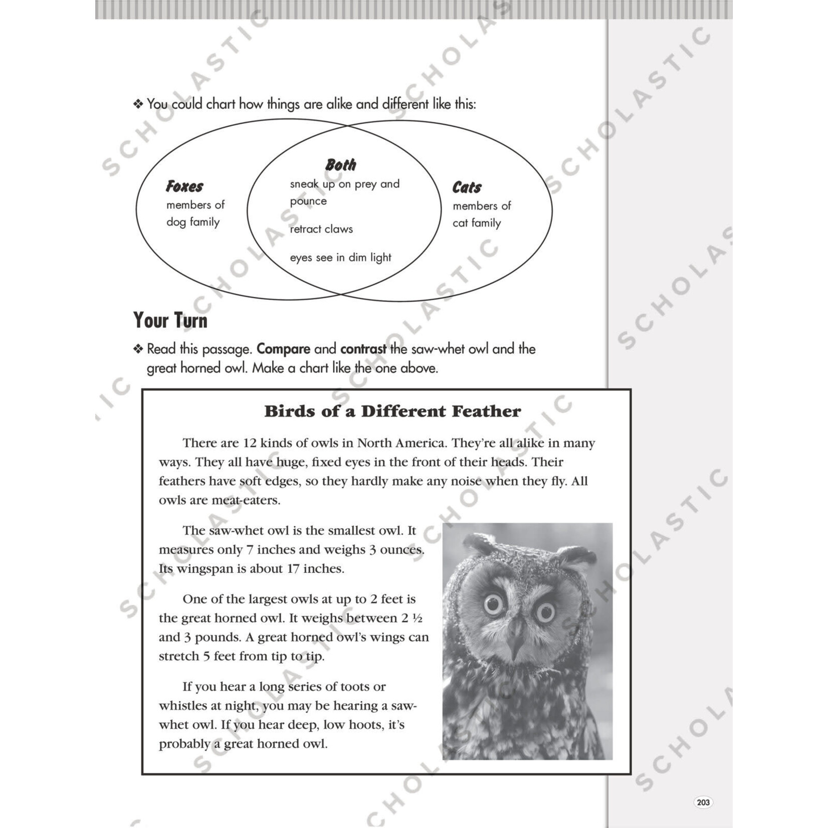 SCHOLASTIC TEACHING RESOURCES Hi-Lo Nonfiction Passages for Struggling Readers: Grades 4-5
