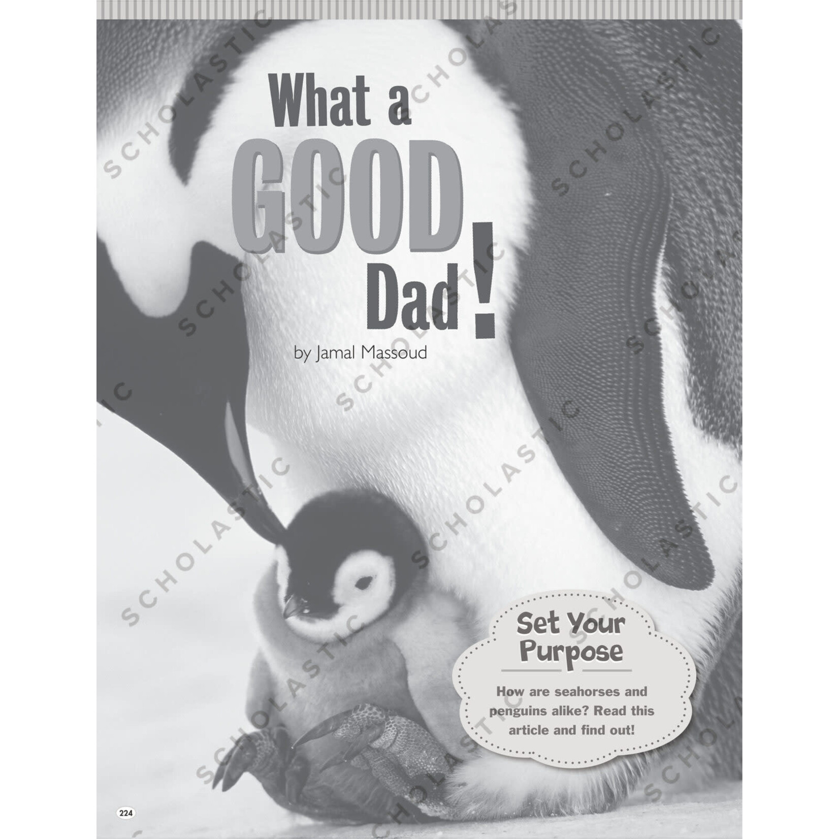 SCHOLASTIC TEACHING RESOURCES Hi-Lo Nonfiction Passages for Struggling Readers: Grades 4-5