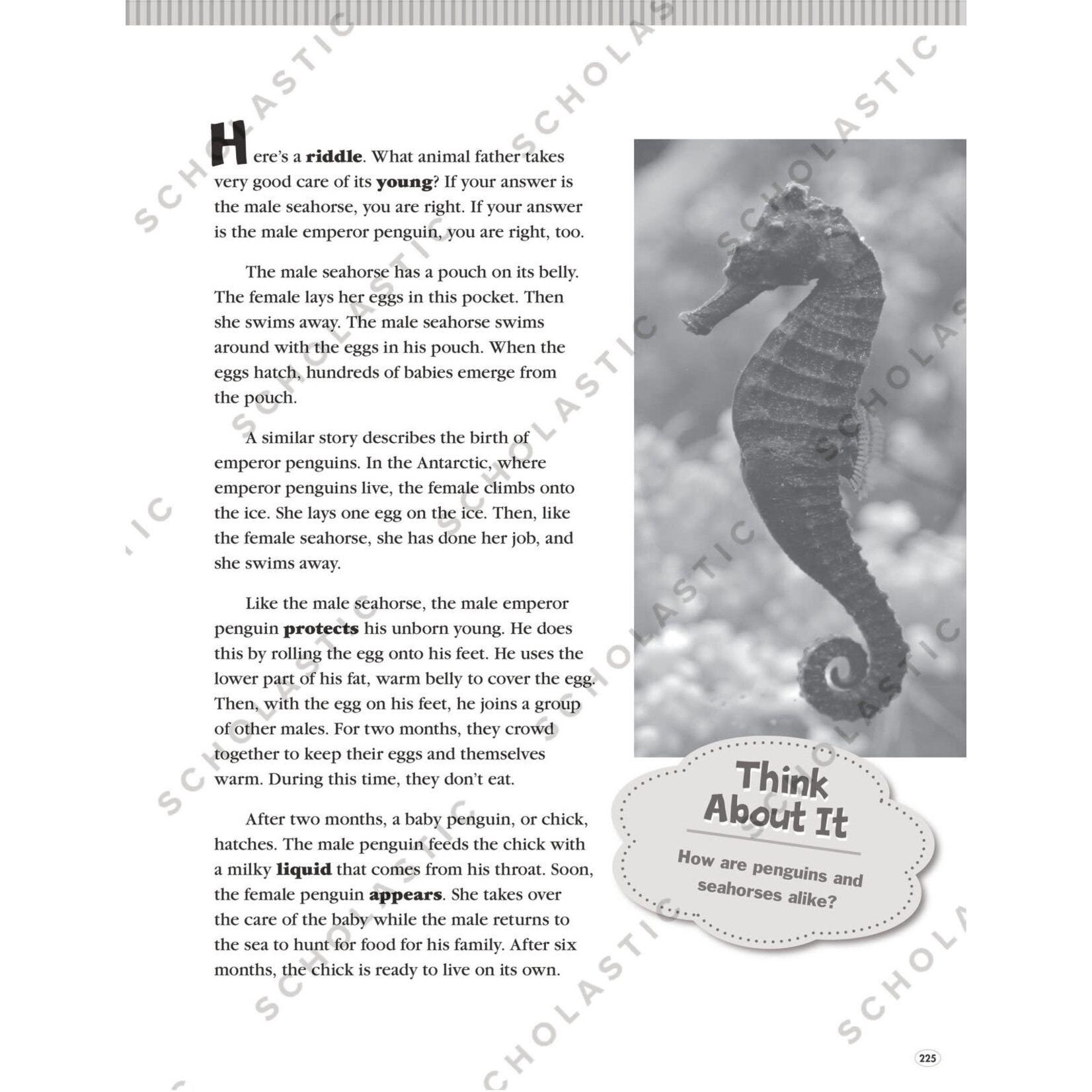 SCHOLASTIC TEACHING RESOURCES Hi-Lo Nonfiction Passages for Struggling Readers: Grades 4-5
